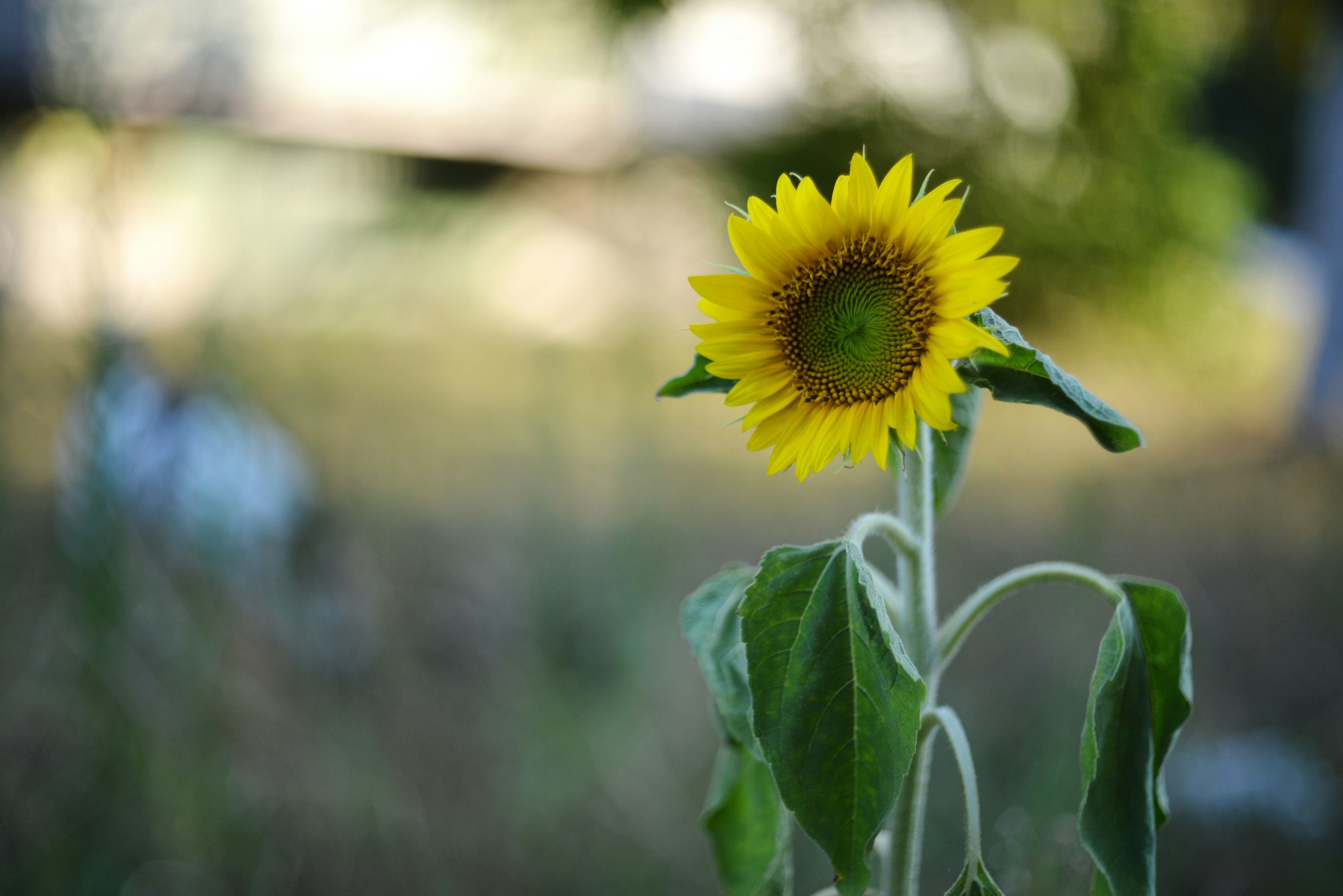 Photo by cherstve_pechivo