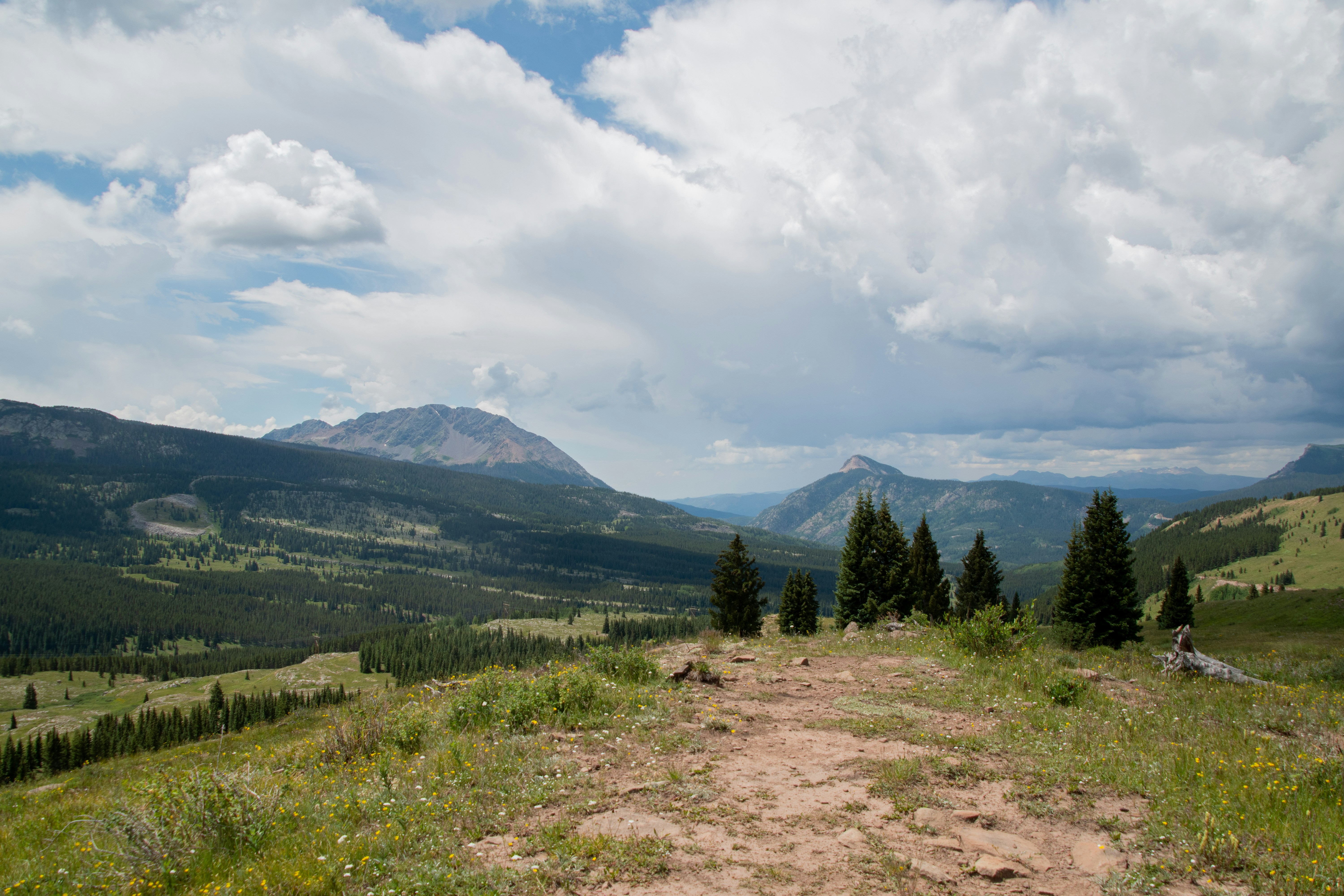 Photo by attaliehart