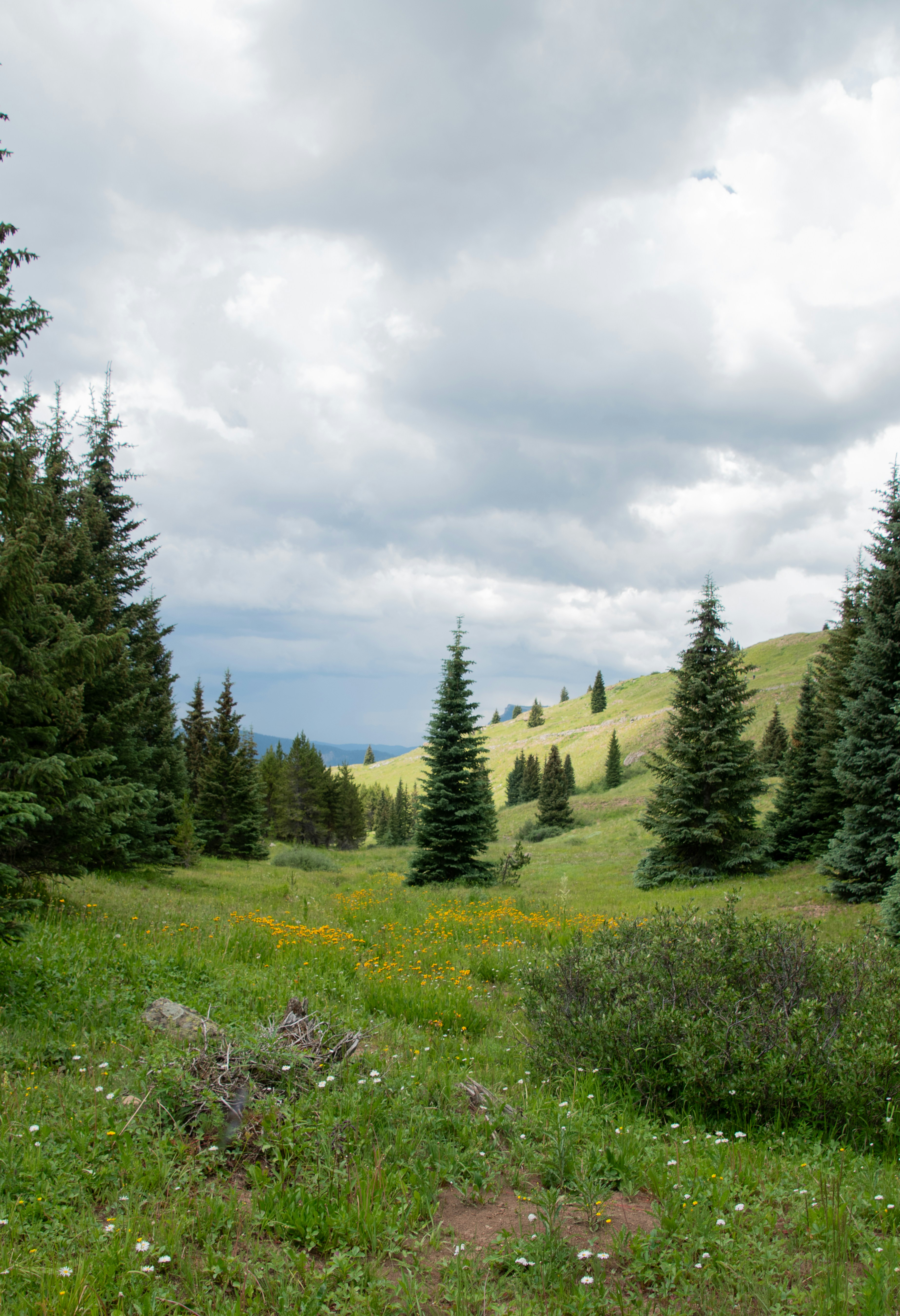 Photo by attaliehart