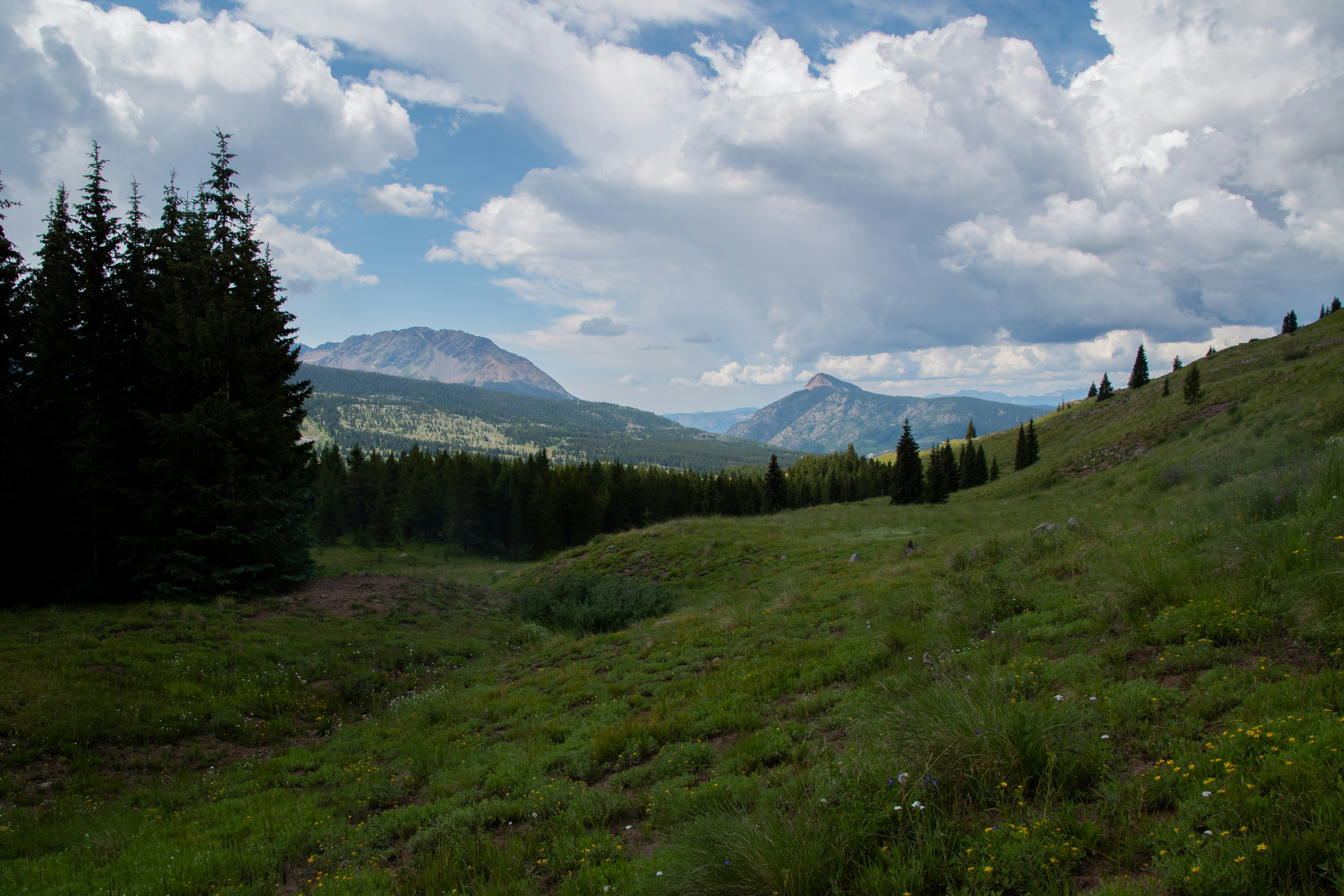 Photo by attaliehart