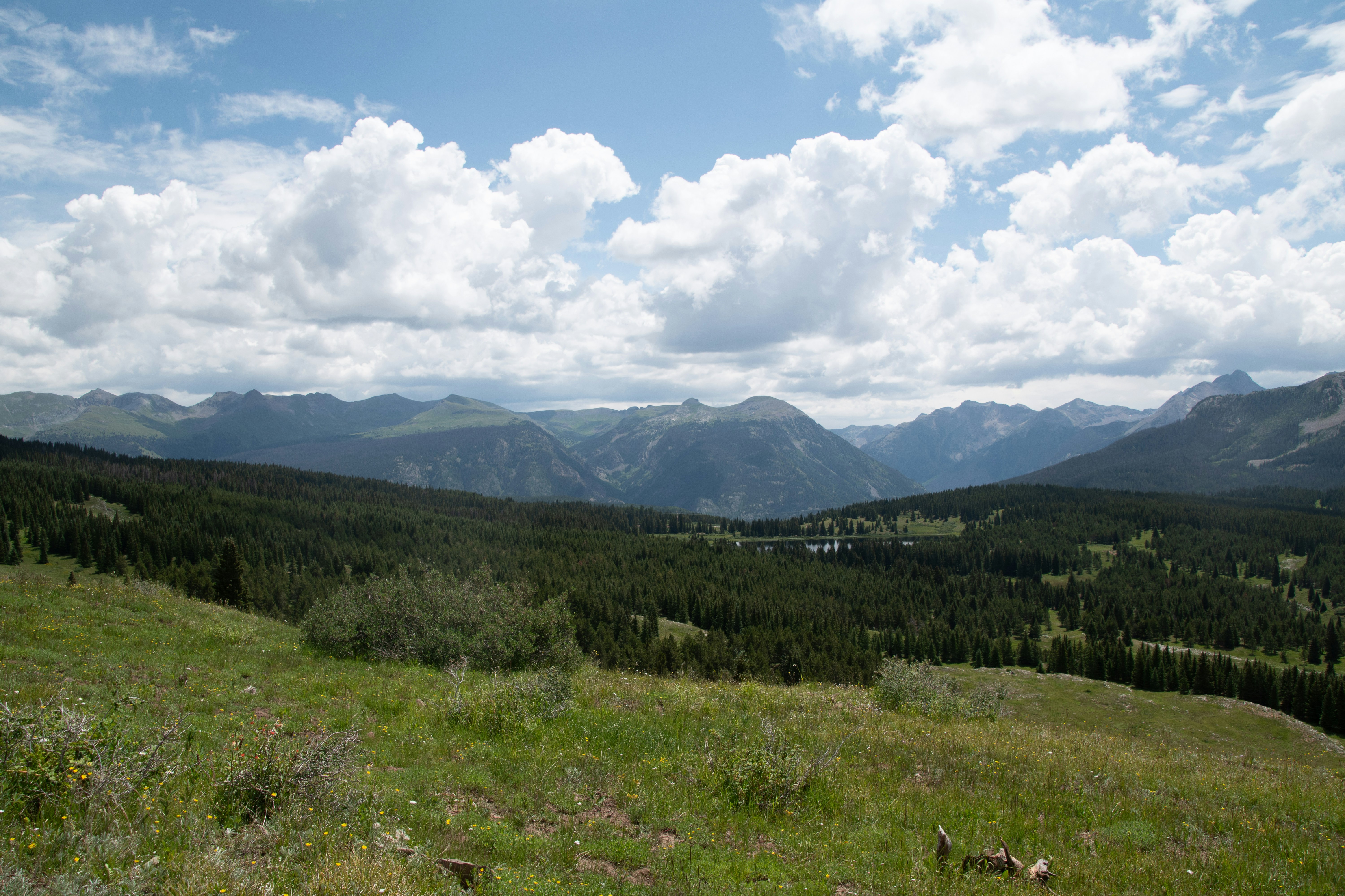 Photo by attaliehart