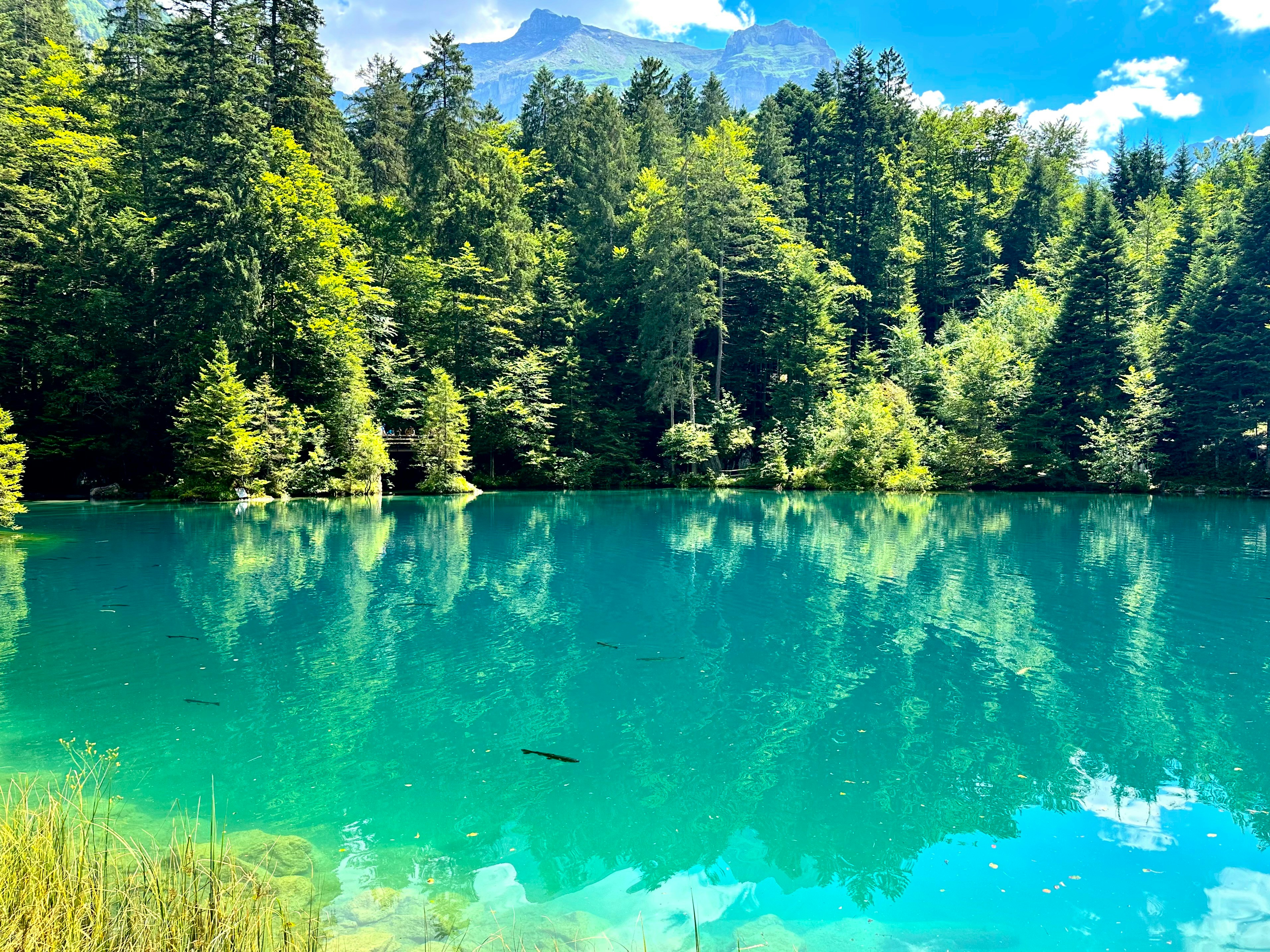 Photo by maximilian_brand