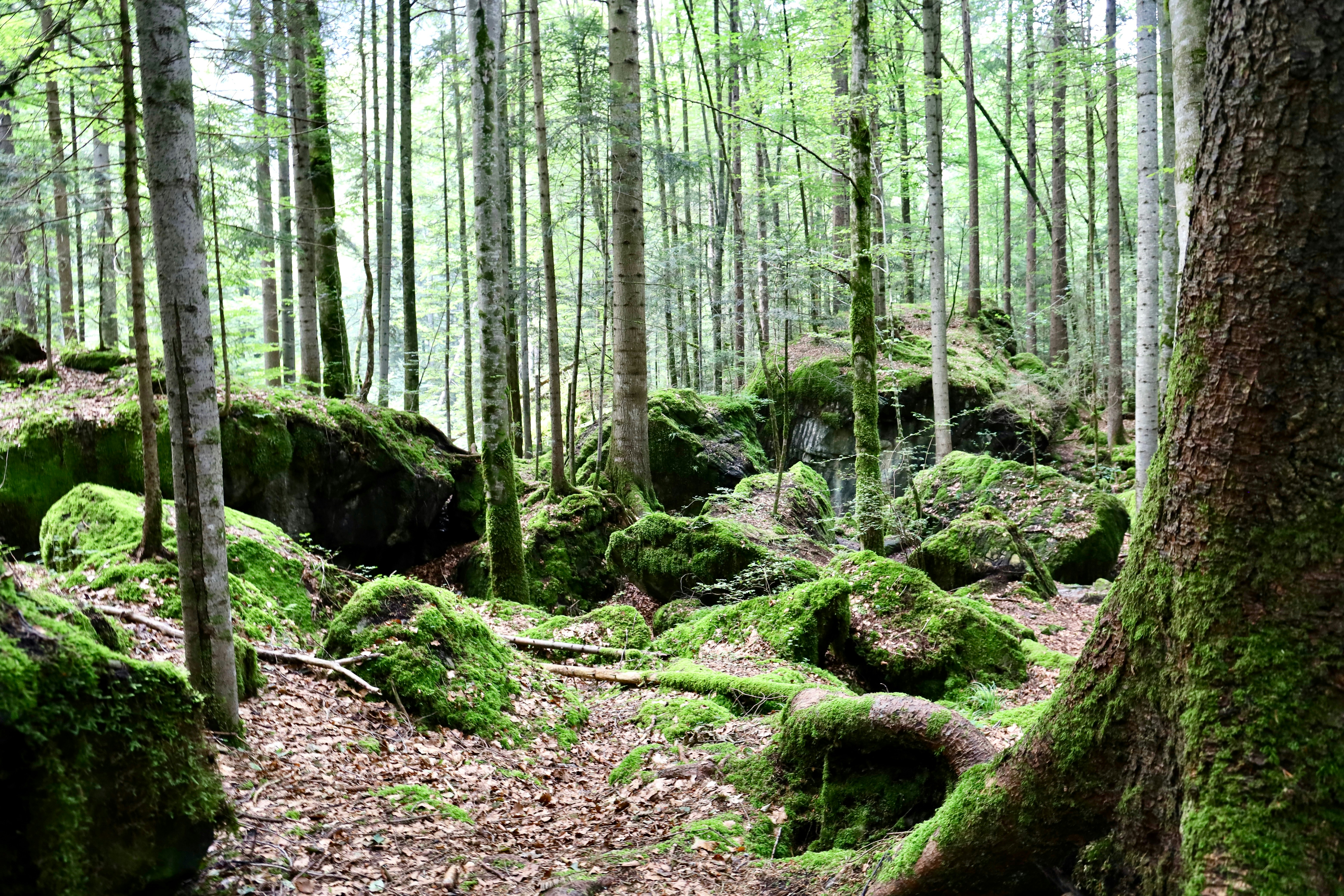 Photo by maximilian_brand