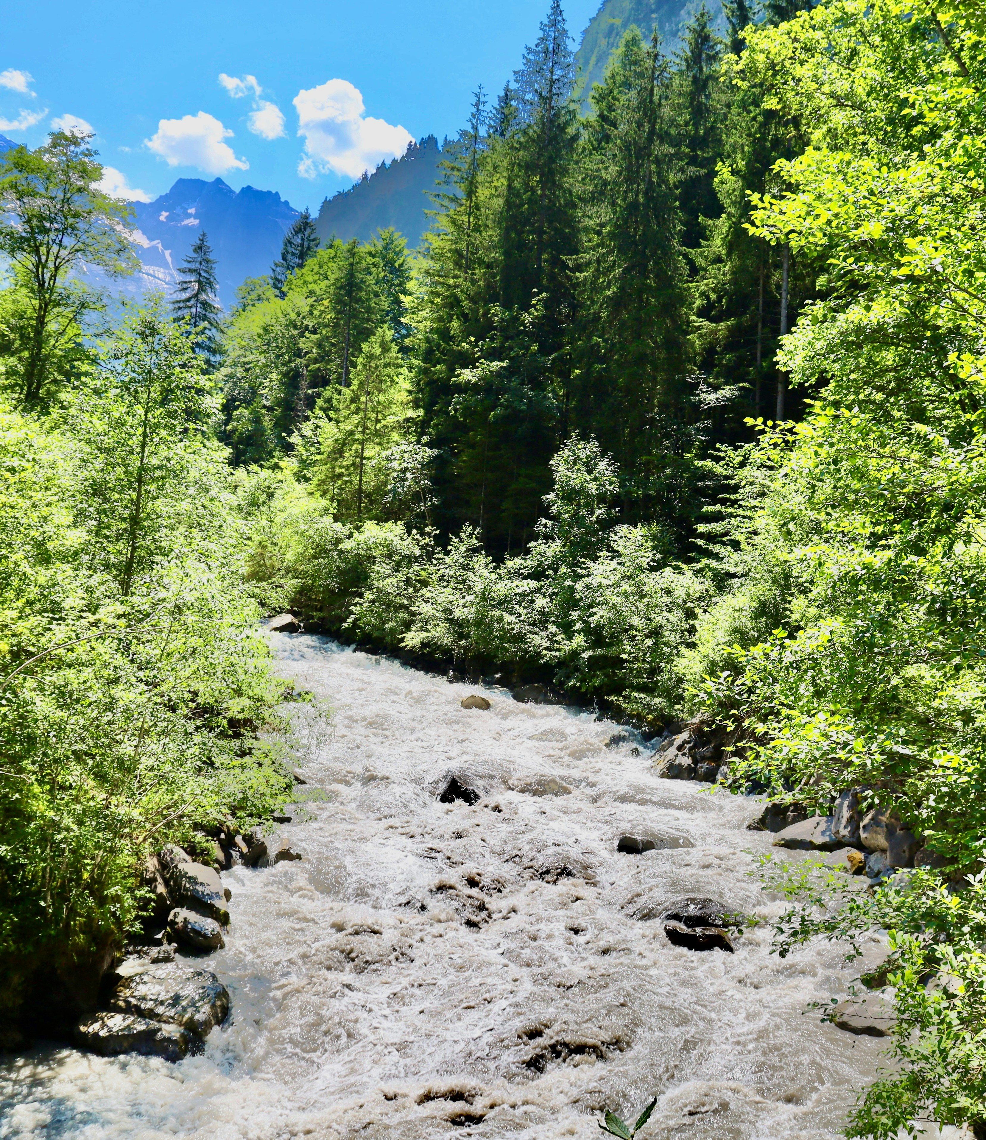 Photo by maximilian_brand