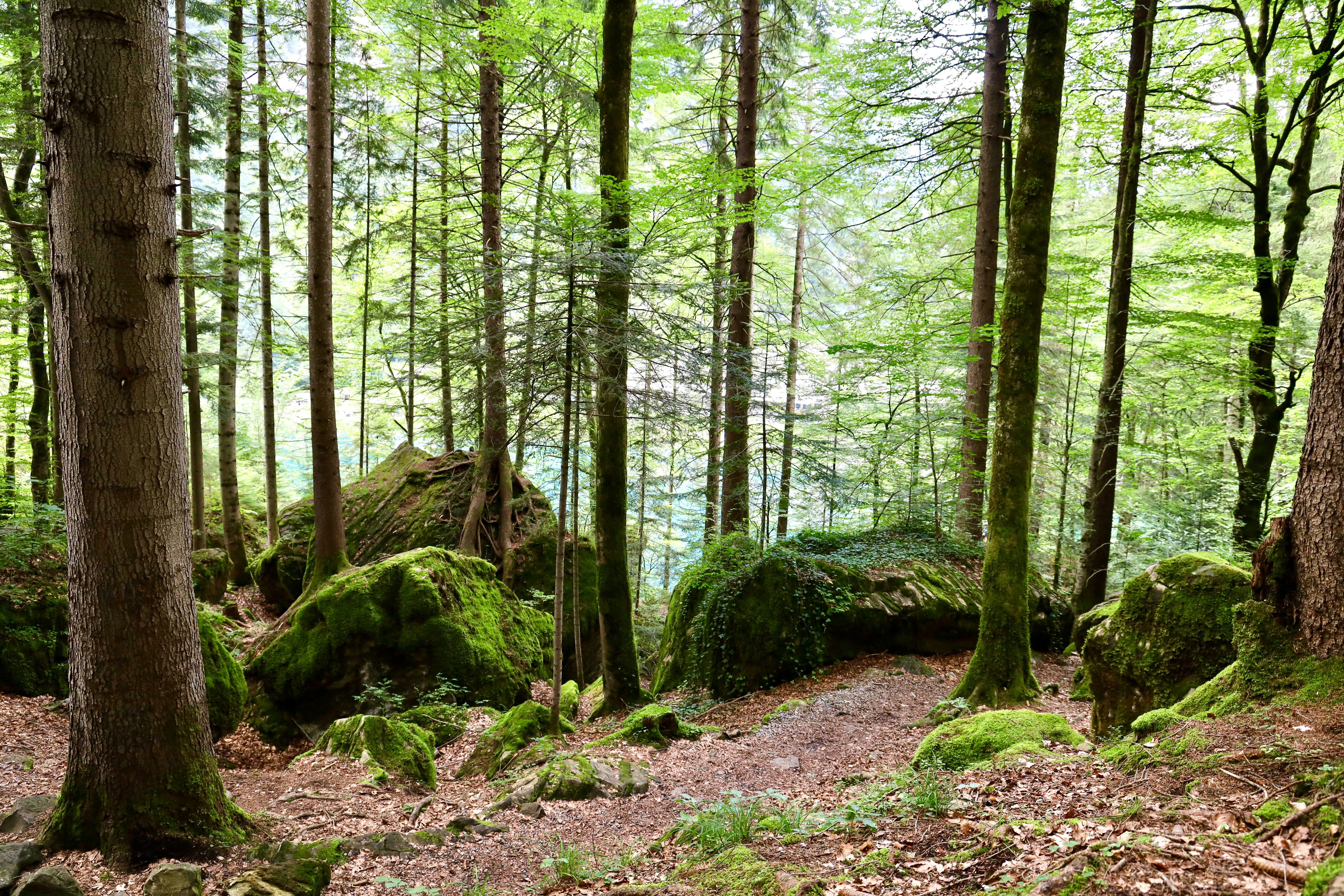 Photo by maximilian_brand