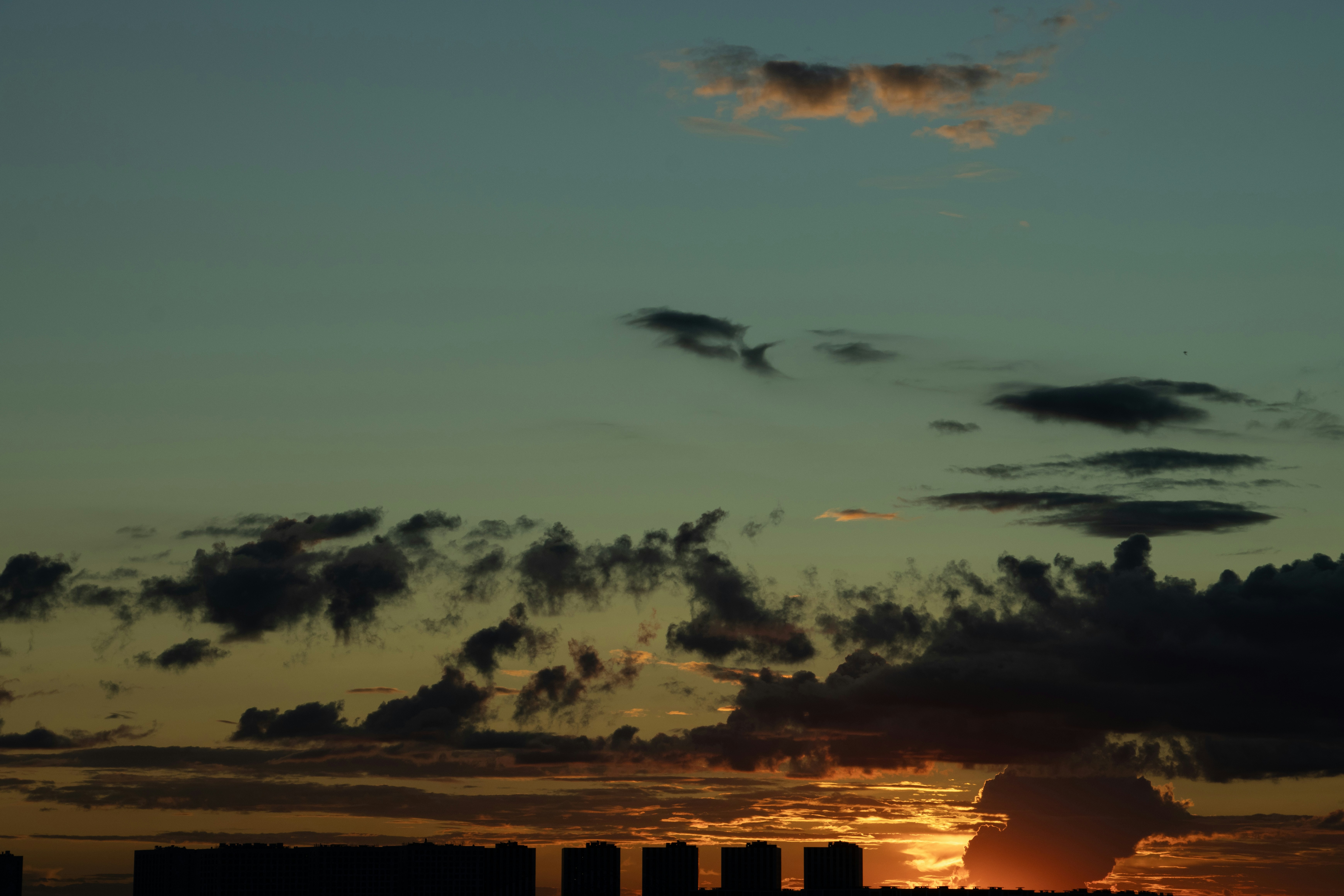 Photo by irina_chishkova