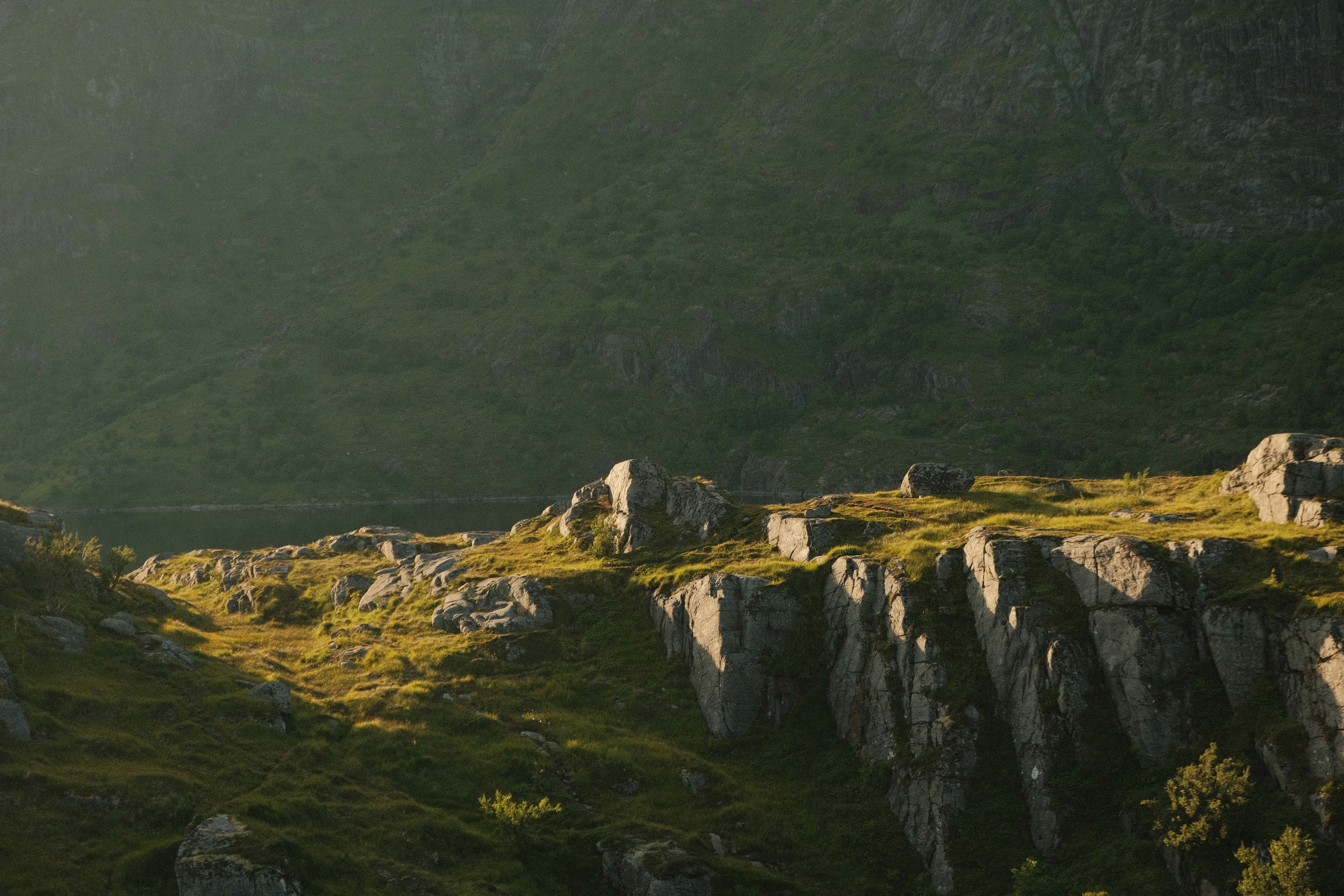 Photo by moritz_photography