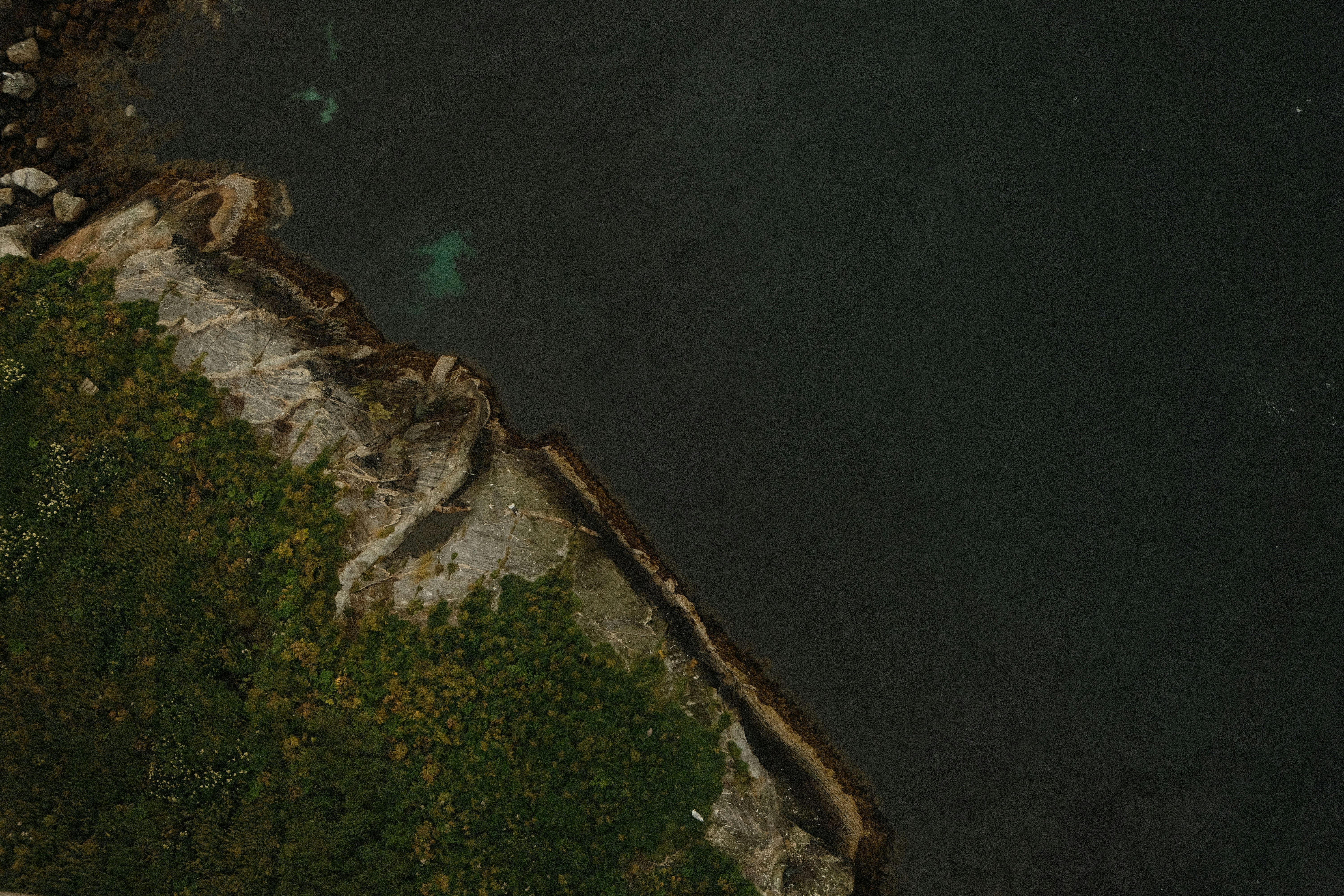 Photo by moritz_photography