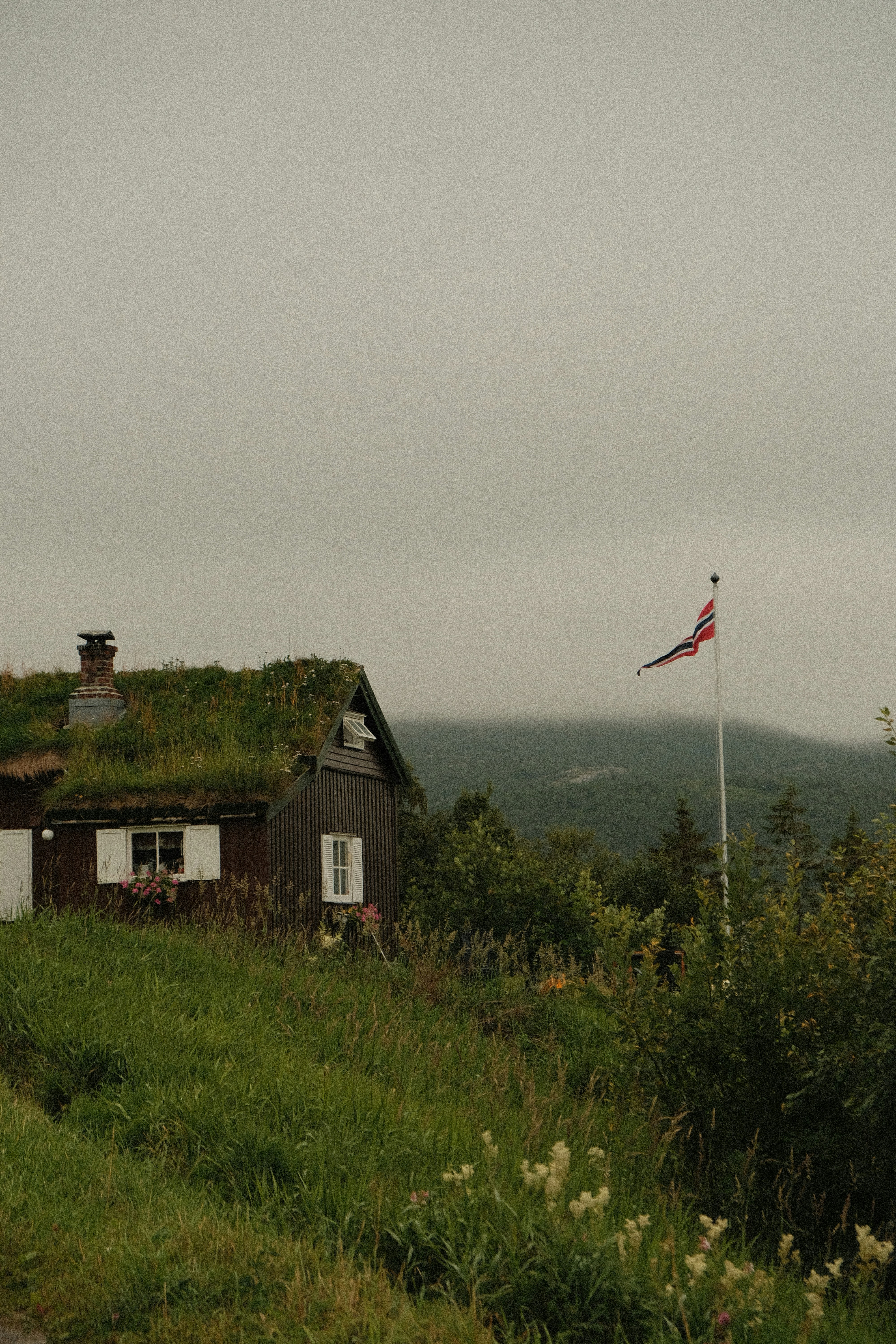 A house with a green roof on a hill
