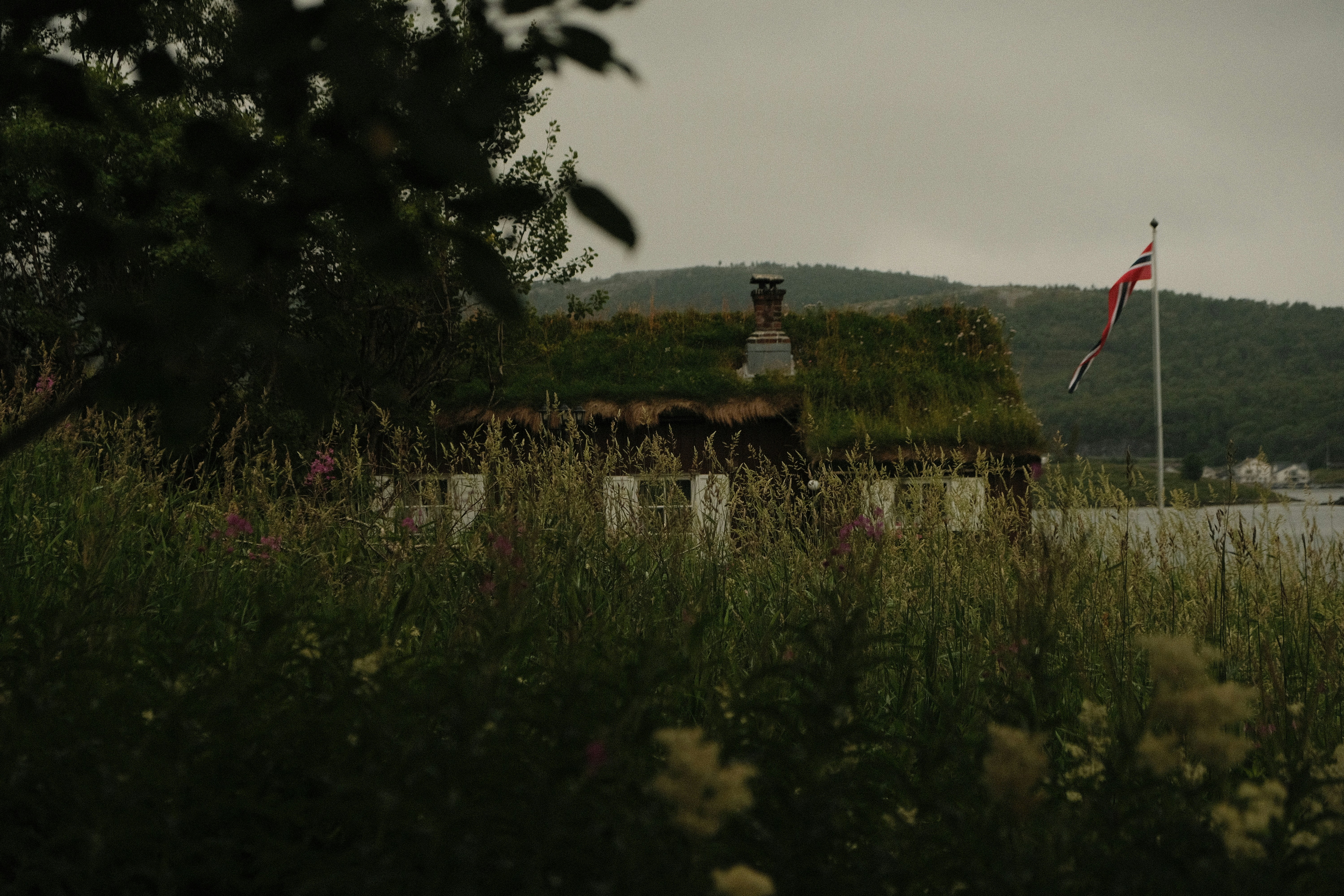 Photo by moritz_photography