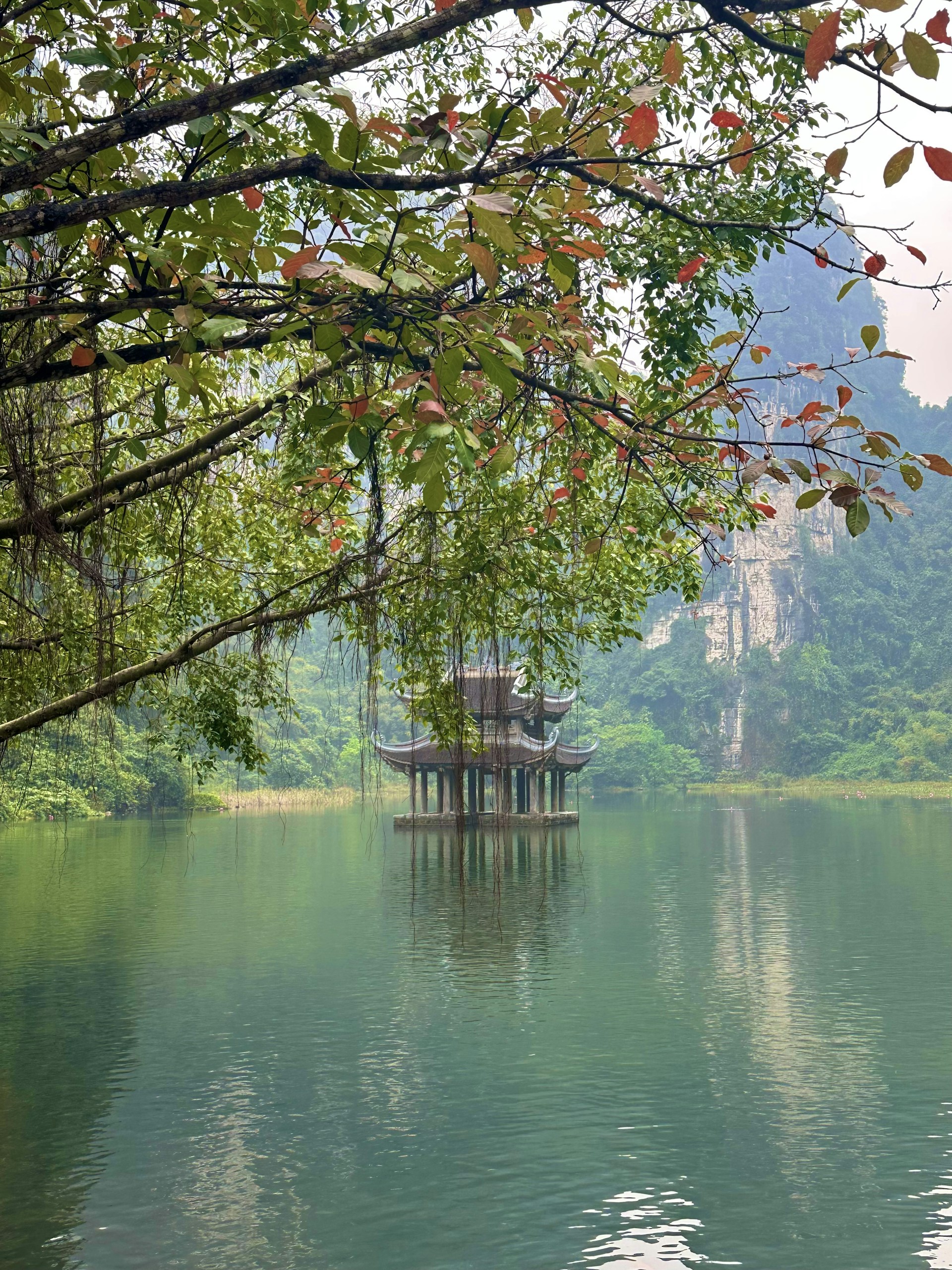 A body of water surrounded by trees and mountains