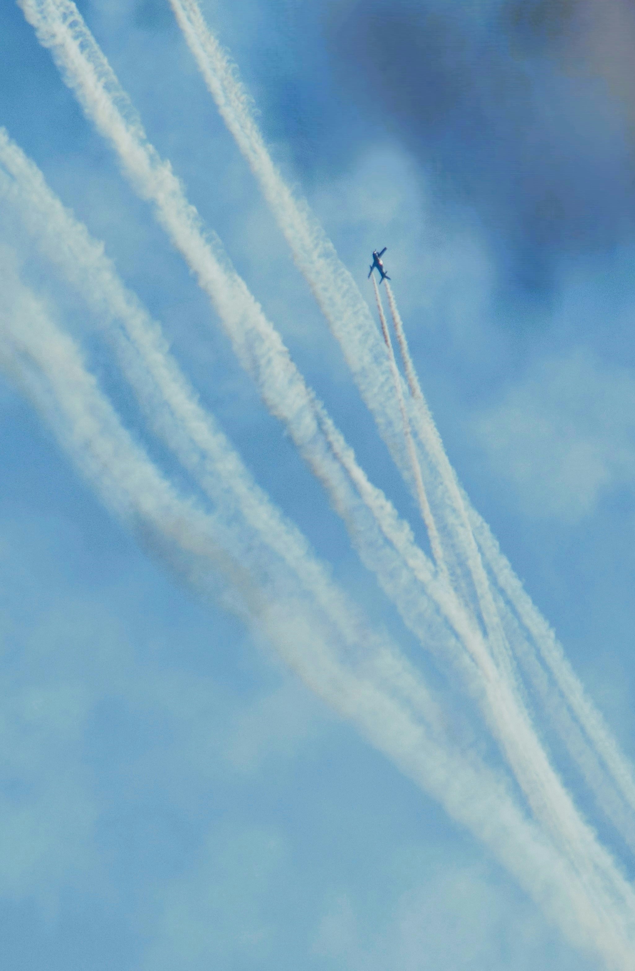 Photo by ch_photography