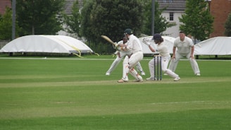 A group of men playing a game of cricket