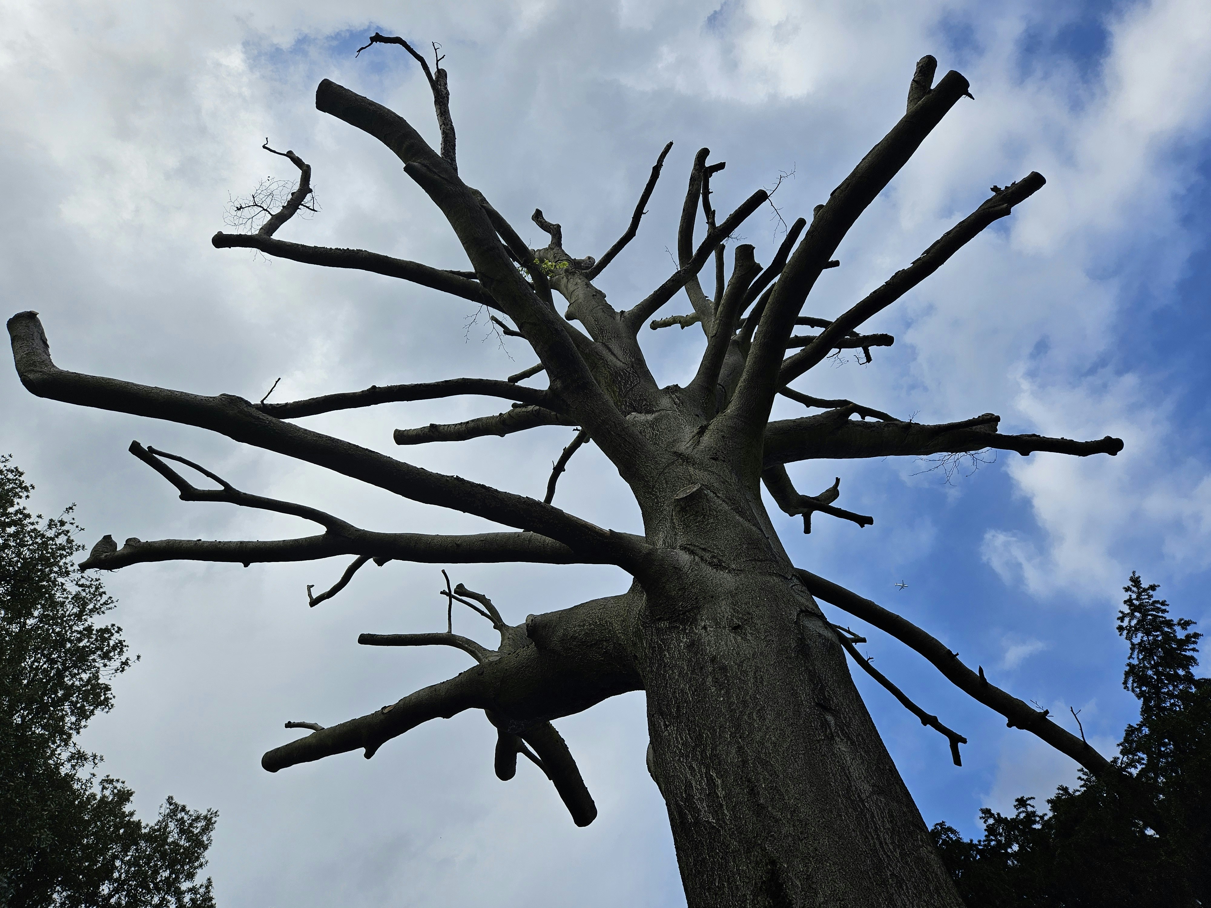 Photo by peter_ralphski