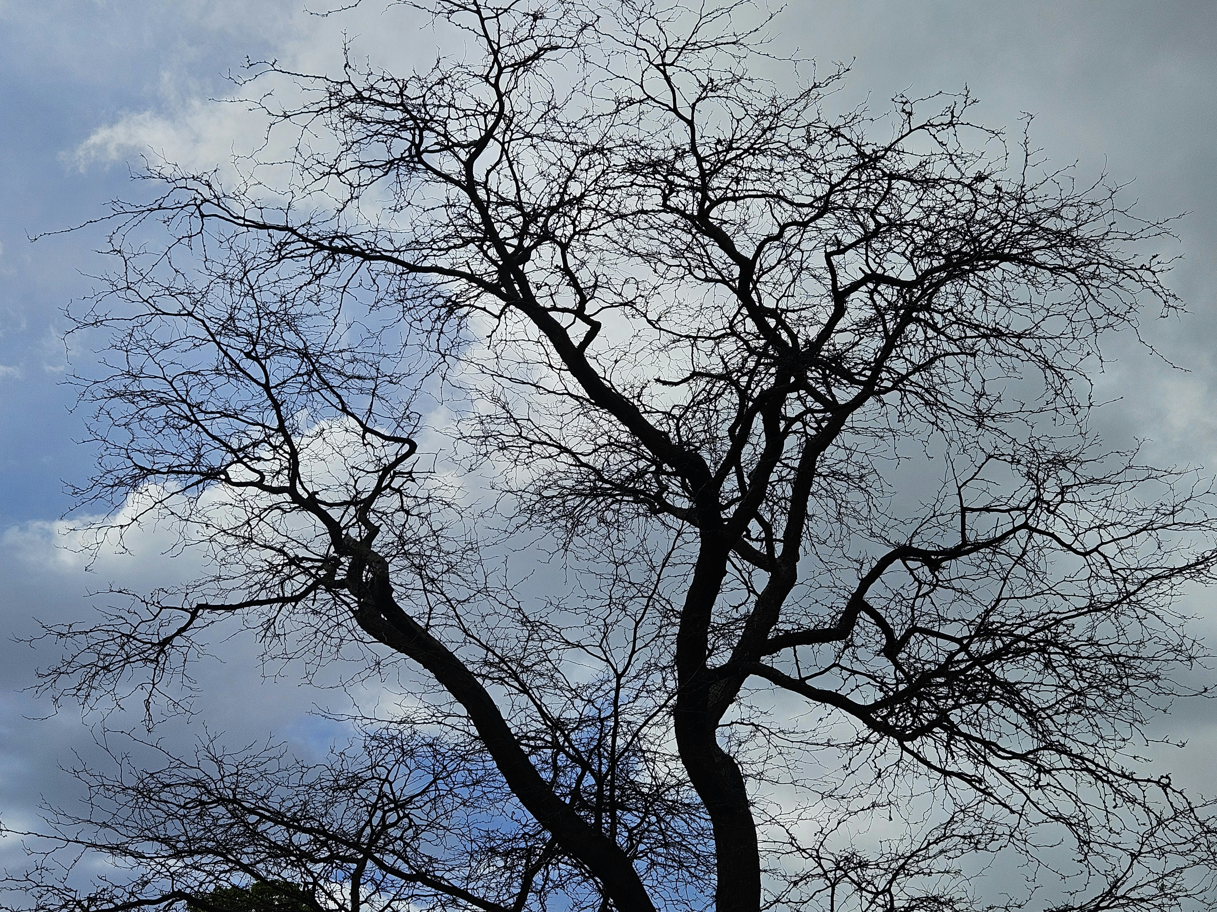 Photo by peter_ralphski