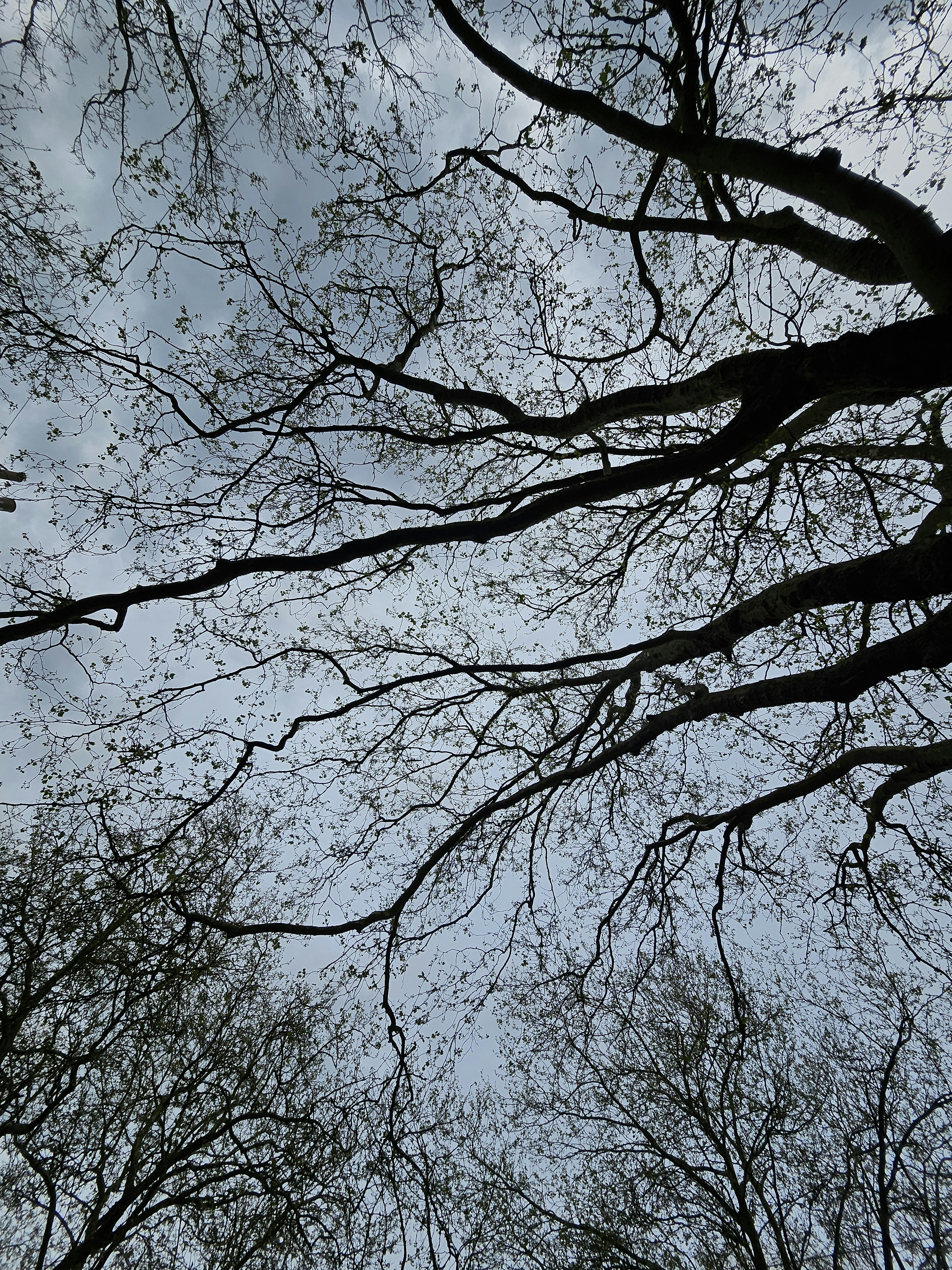 Photo by peter_ralphski