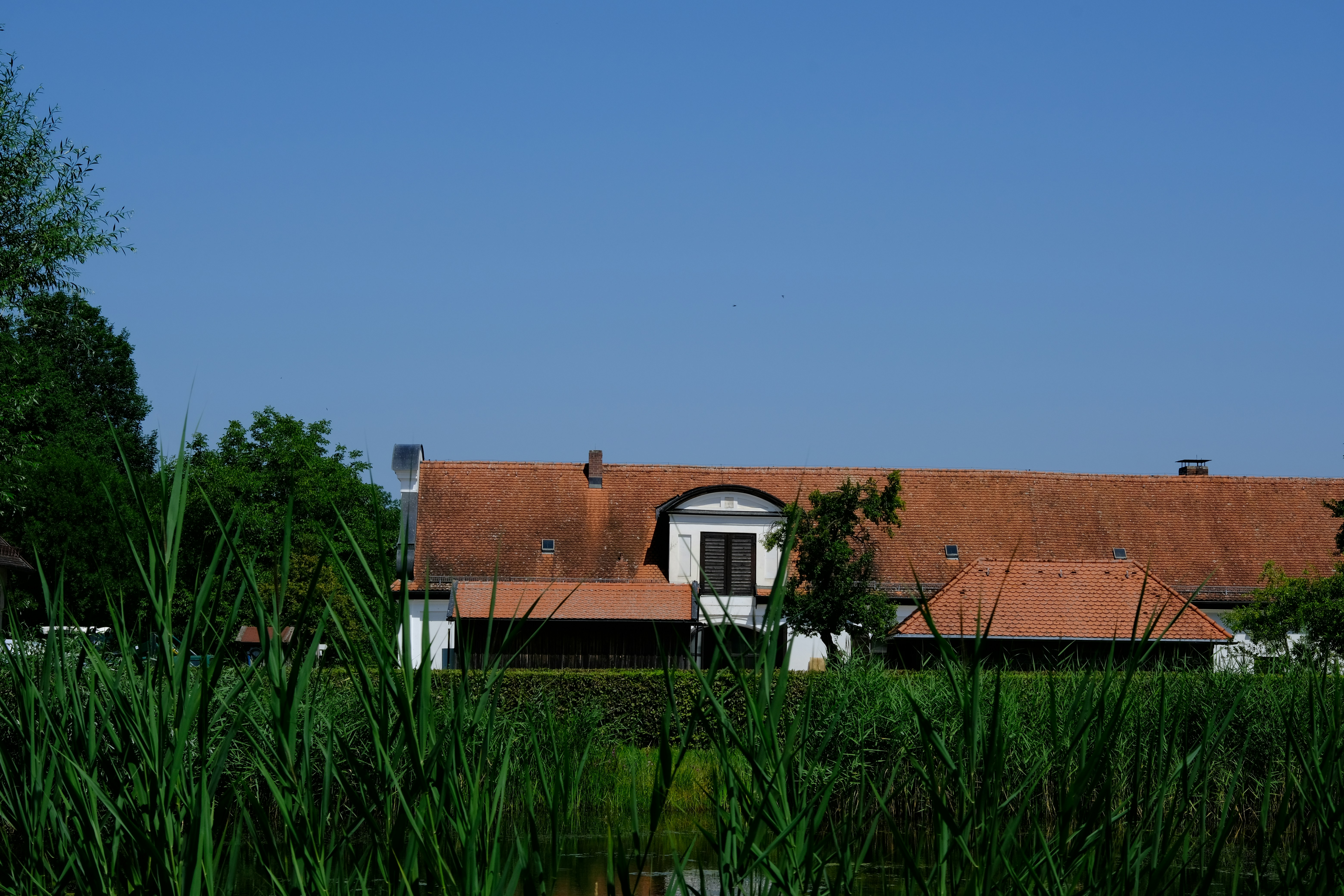 Photo by jacobmitani12