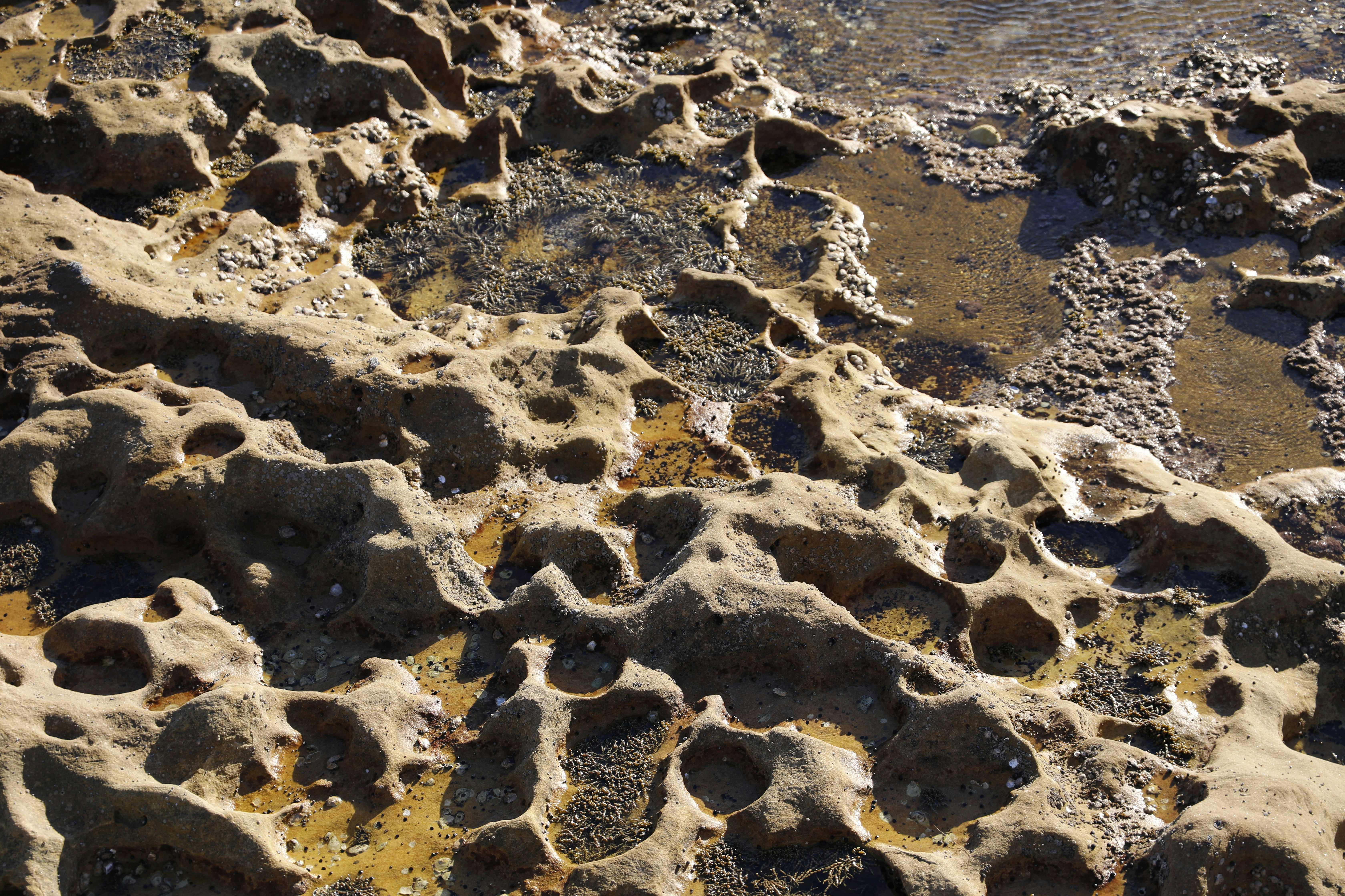 Comparative Studies with Ancient Rock Formations (image credits: unsplash)