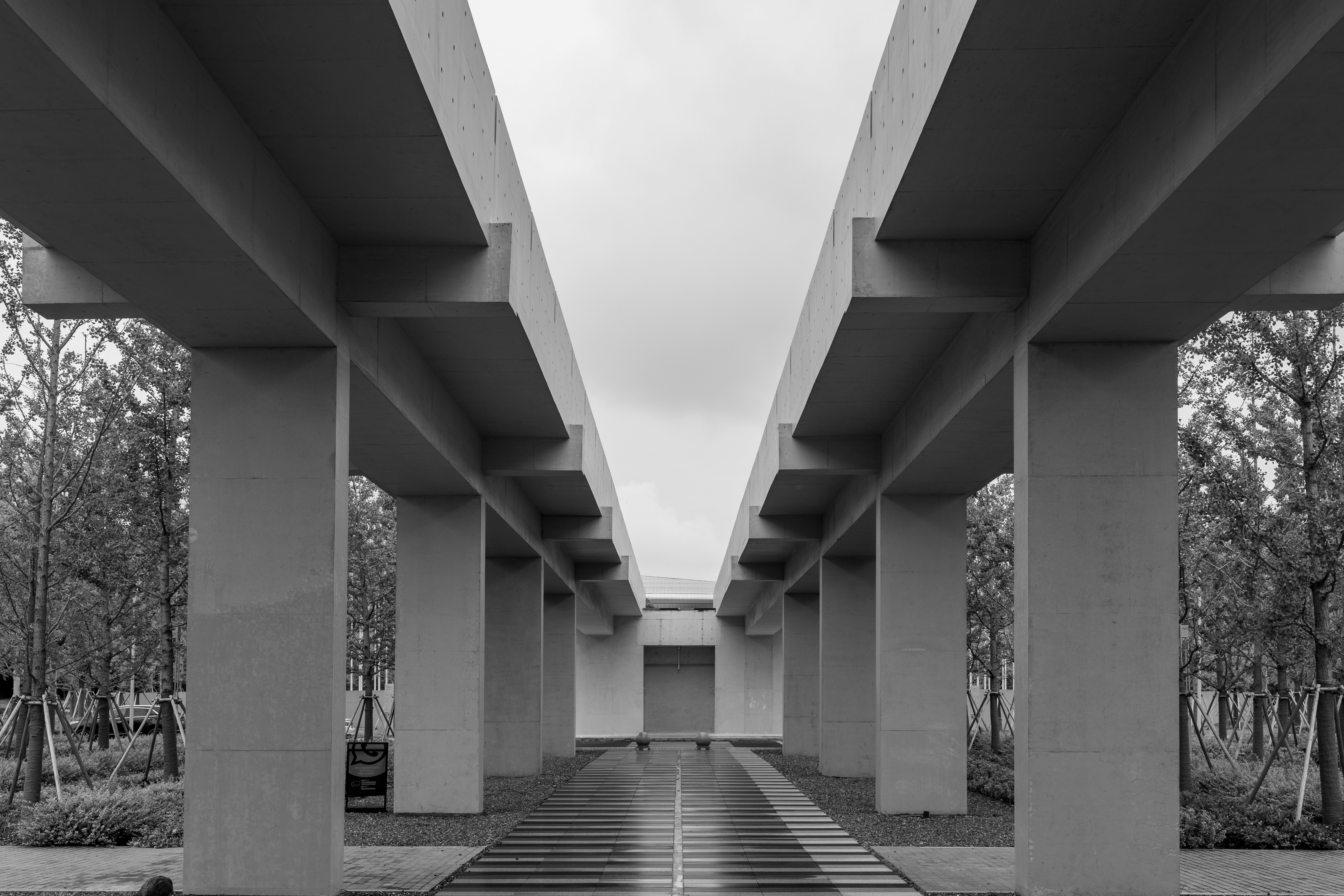 Photo by aasing_gwok