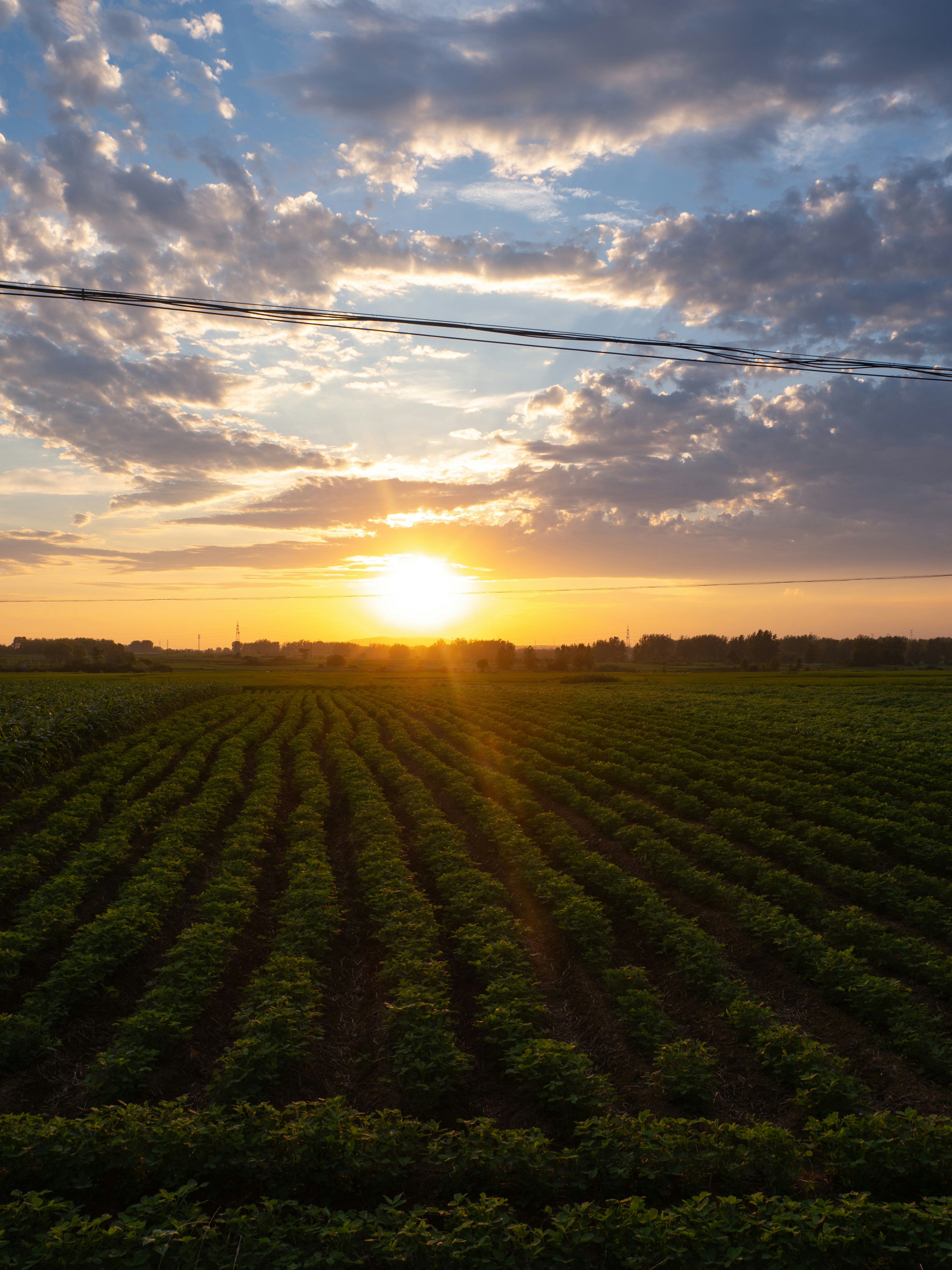 photo-1721555714964-252f4009c22a