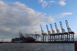 A group of cranes sitting on top of a large body of water