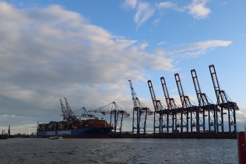 A group of cranes sitting on top of a large body of water
