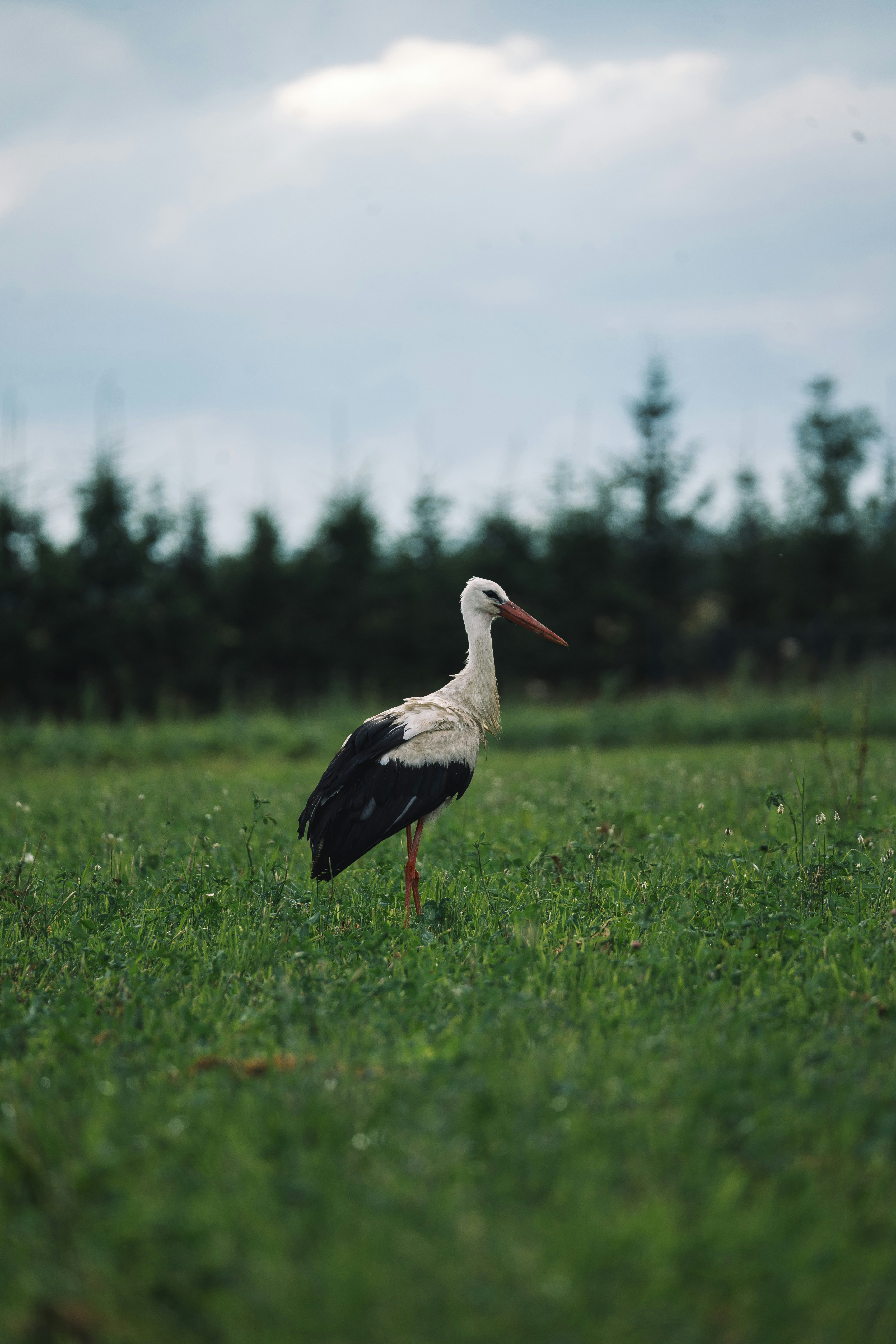 Photo by janekvaldsalu