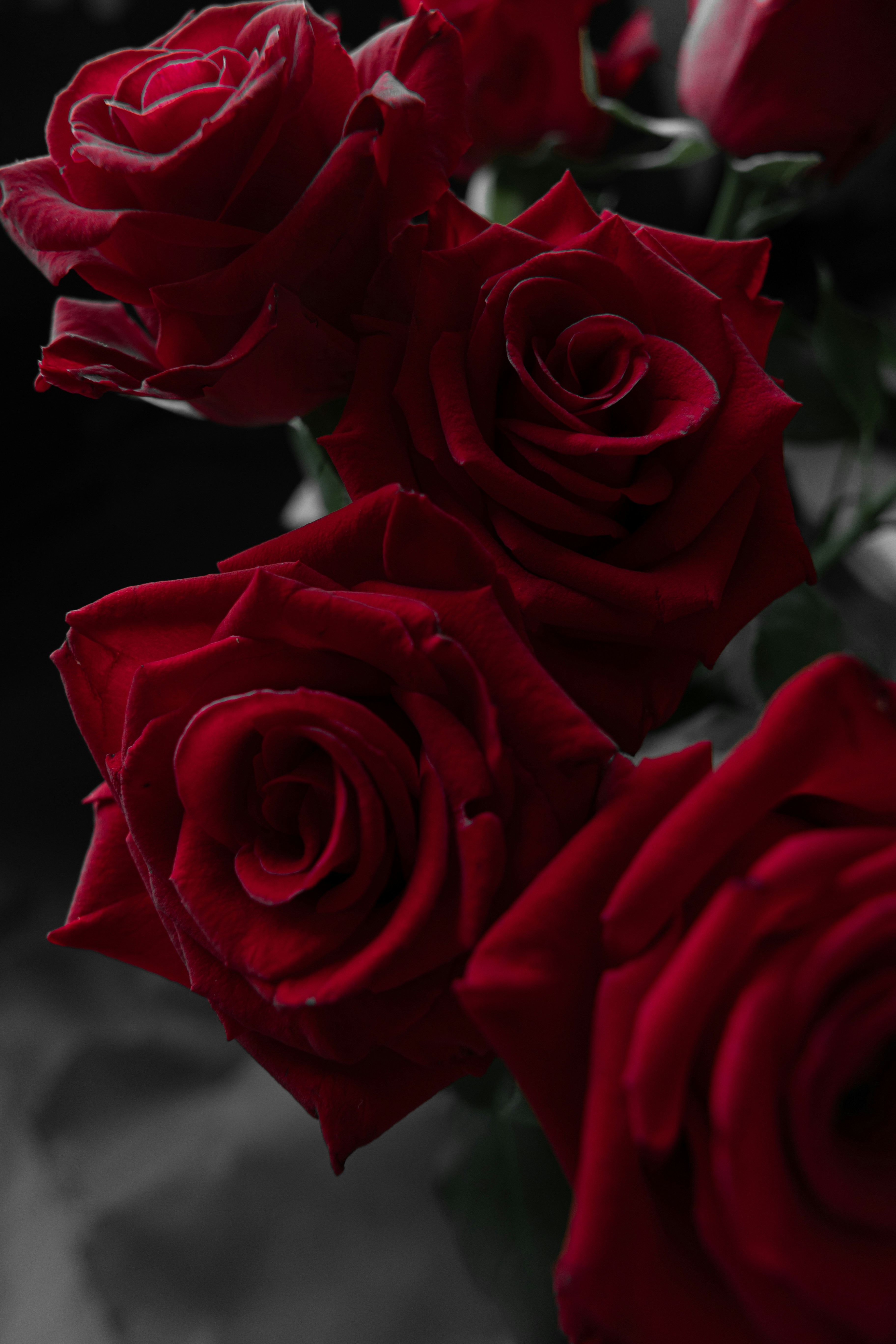 Photo by michael_surazhsky