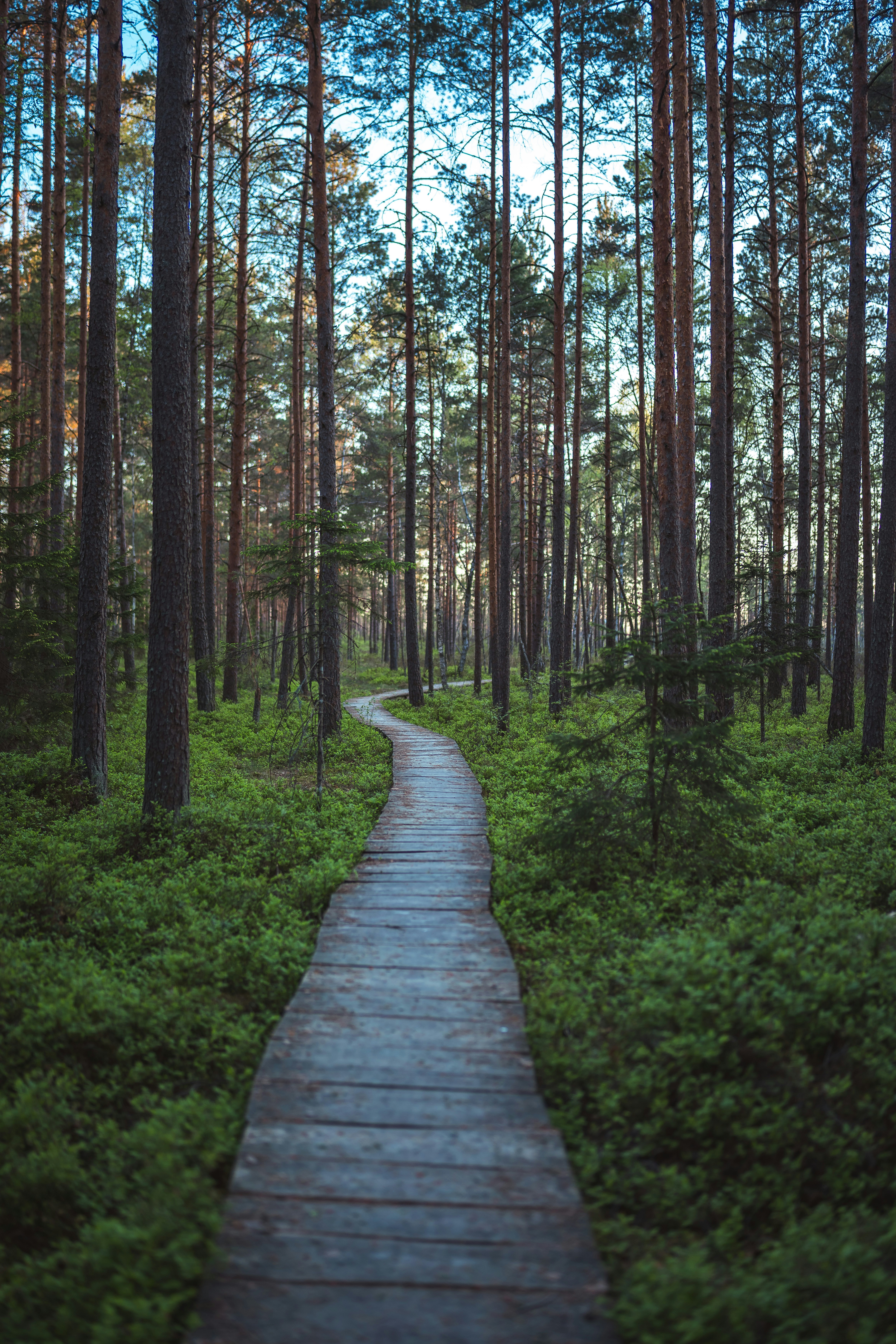 Photo by janekvaldsalu