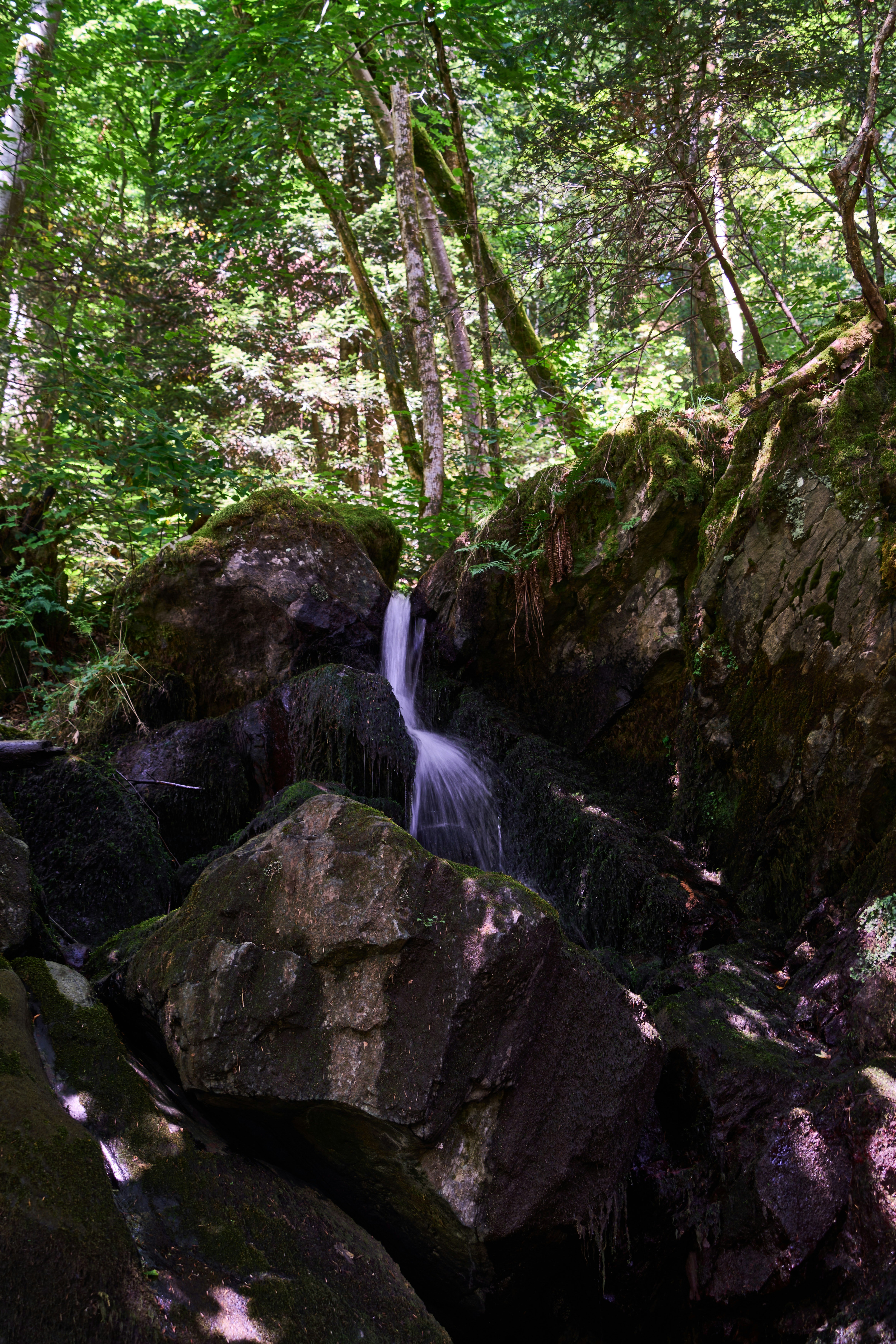 Photo by wolfgang_hasselmann