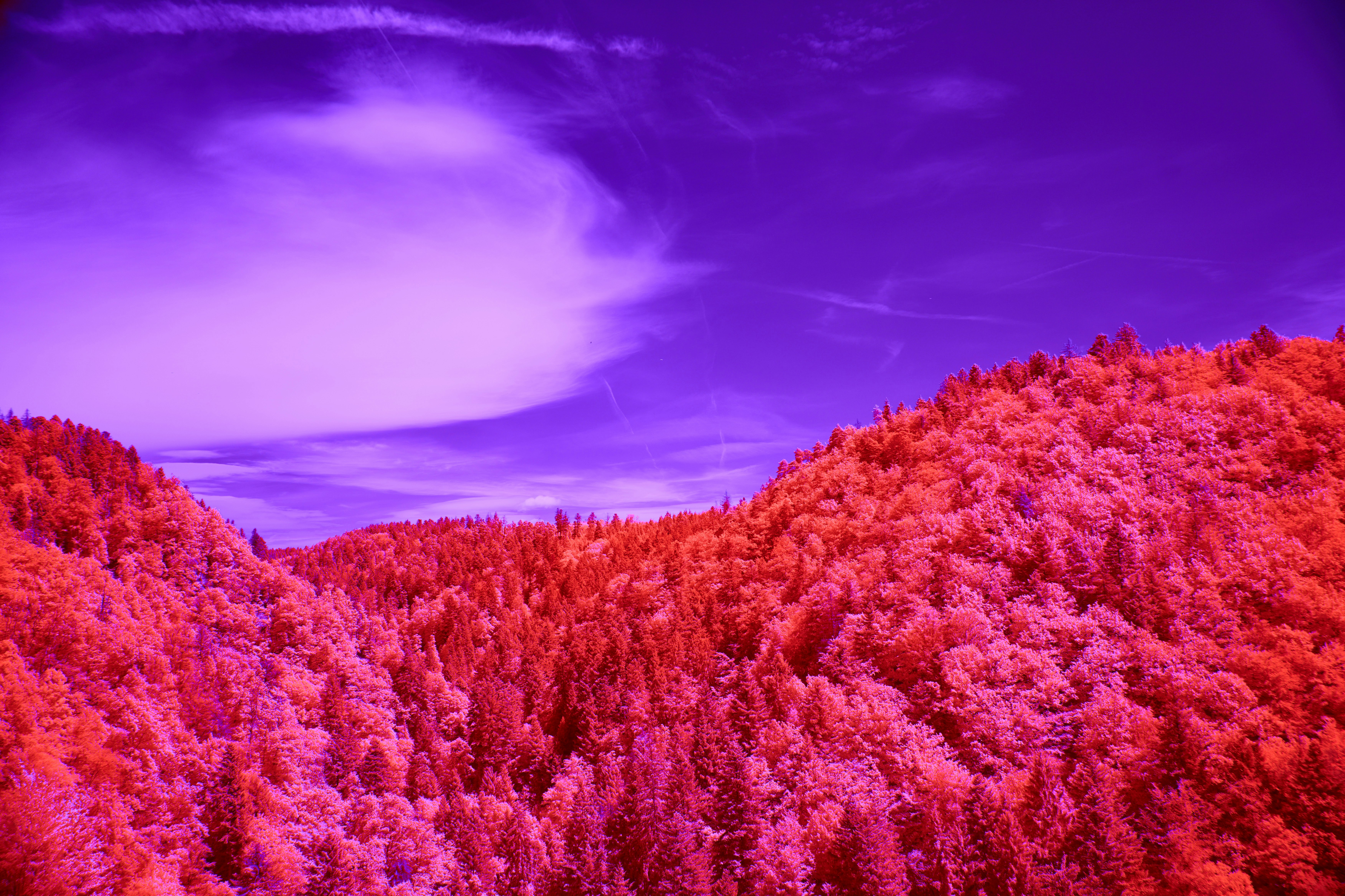 Photo by wolfgang_hasselmann