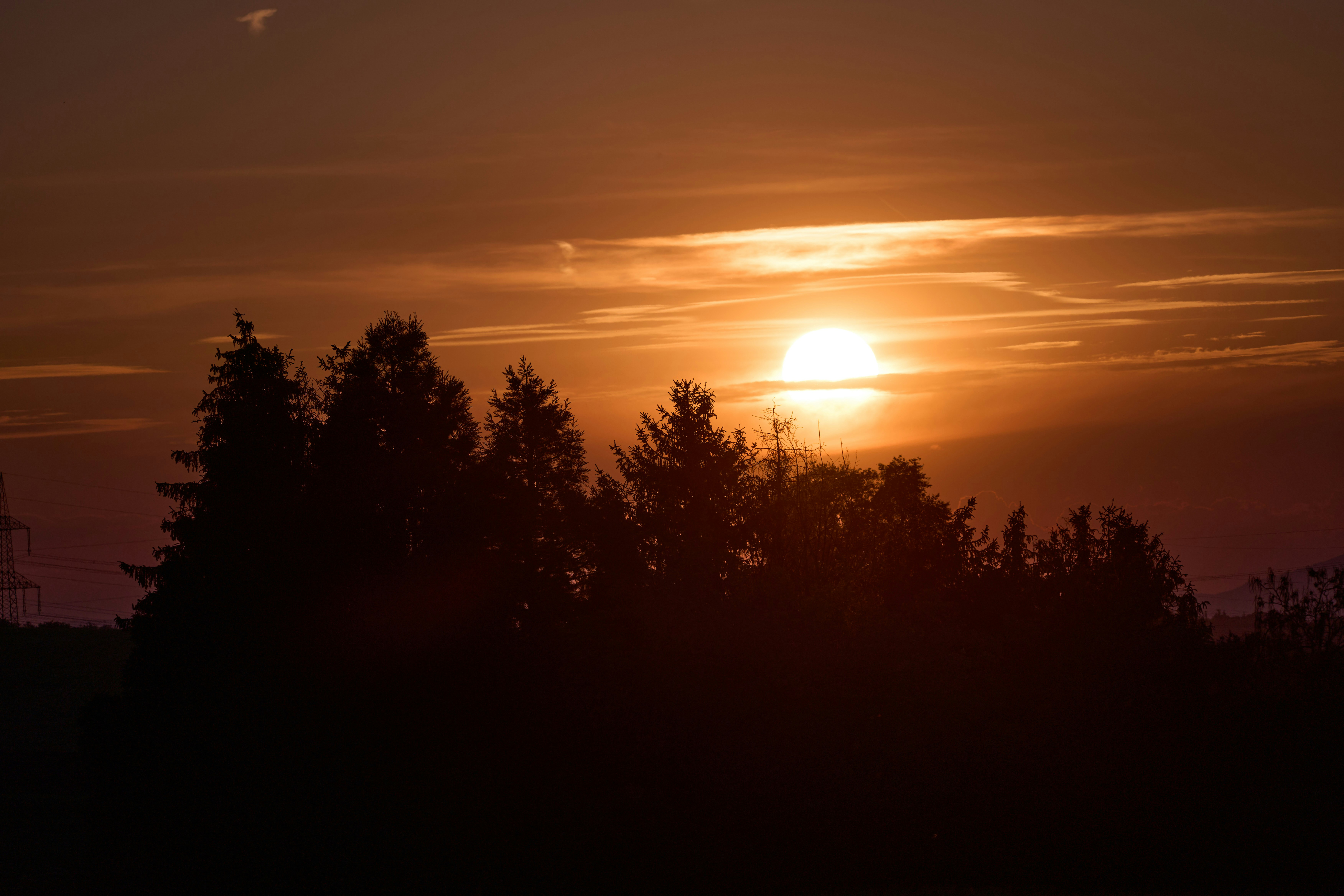 Photo by wolfgang_hasselmann