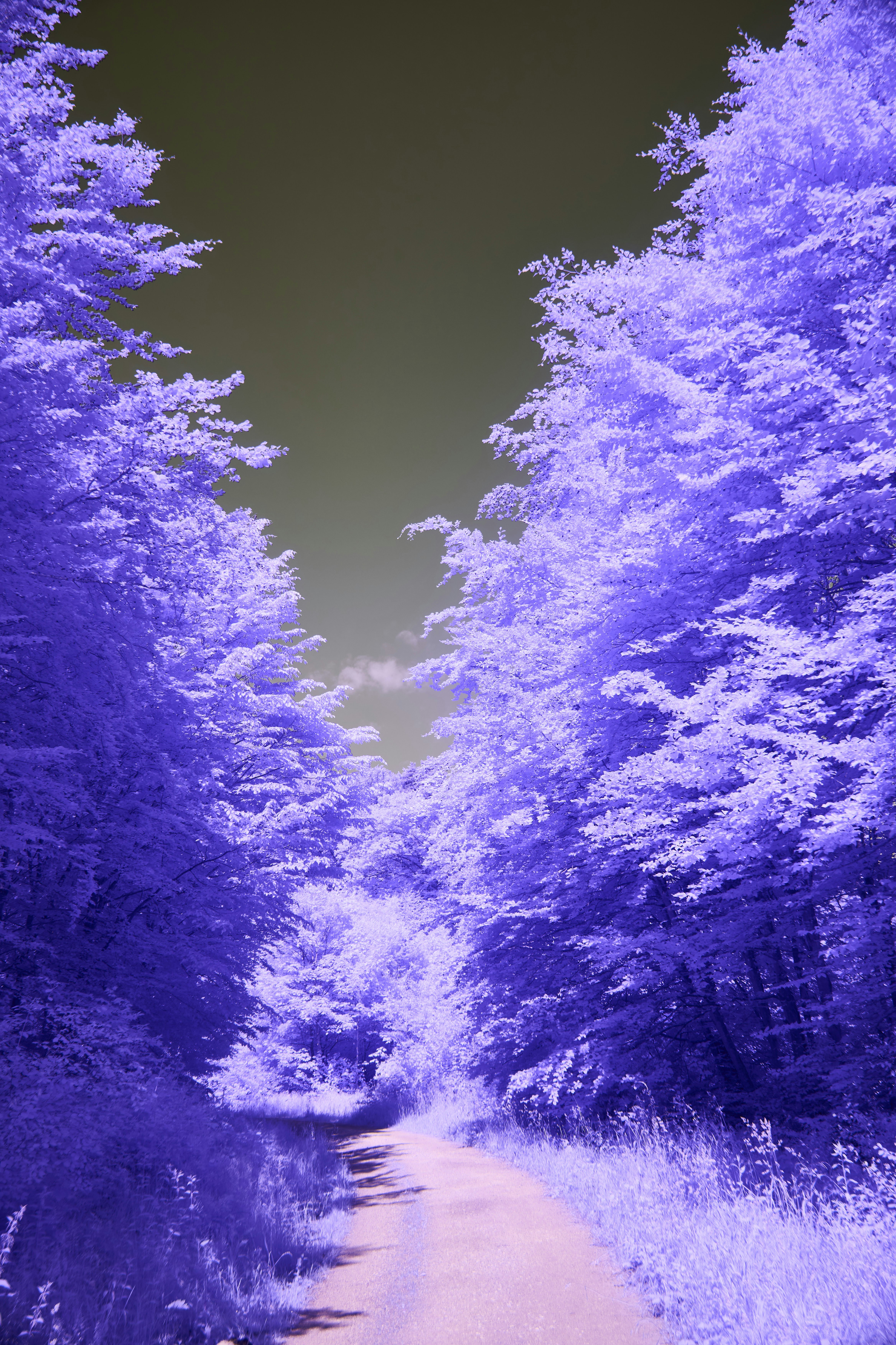 Photo by wolfgang_hasselmann