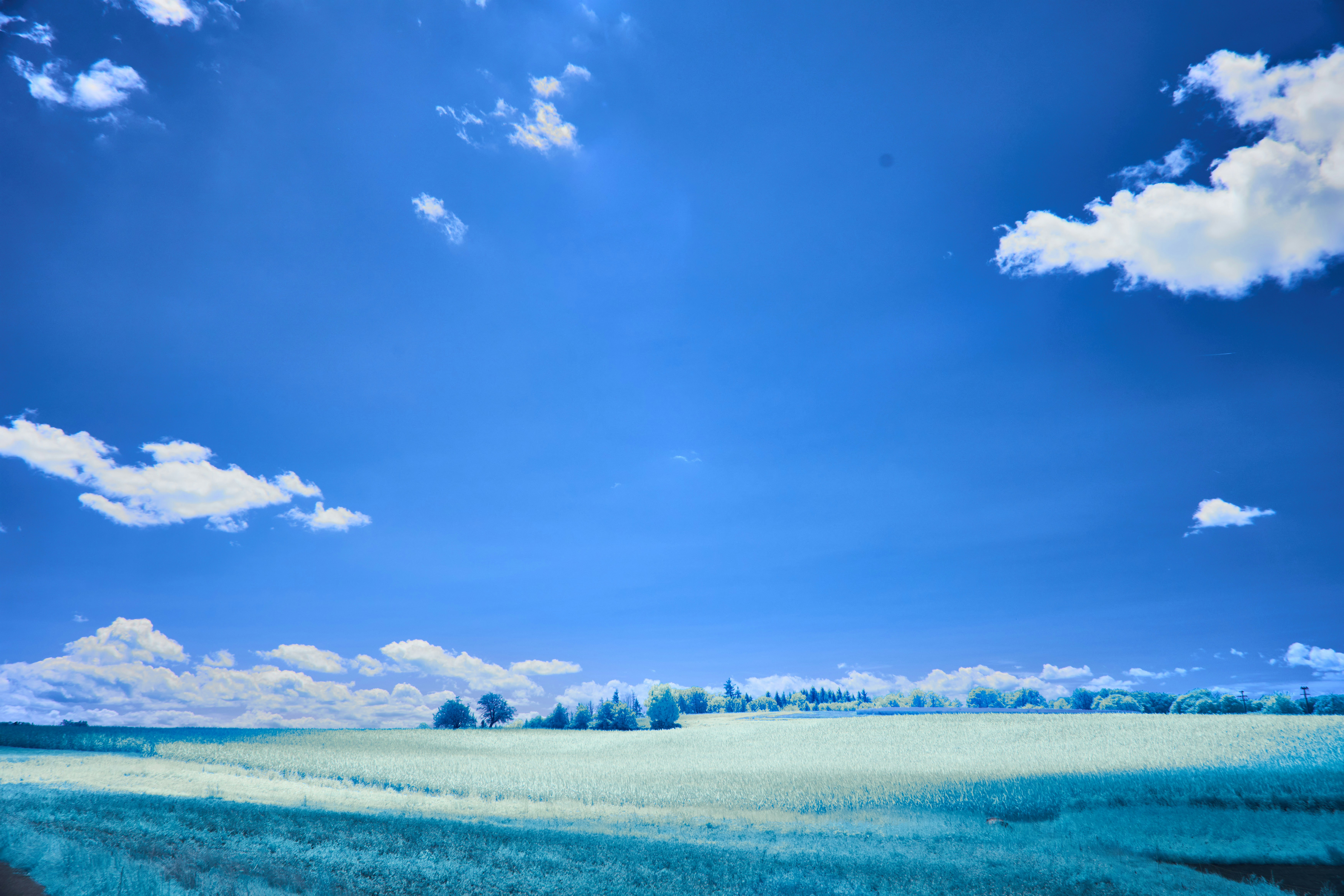 Photo by wolfgang_hasselmann