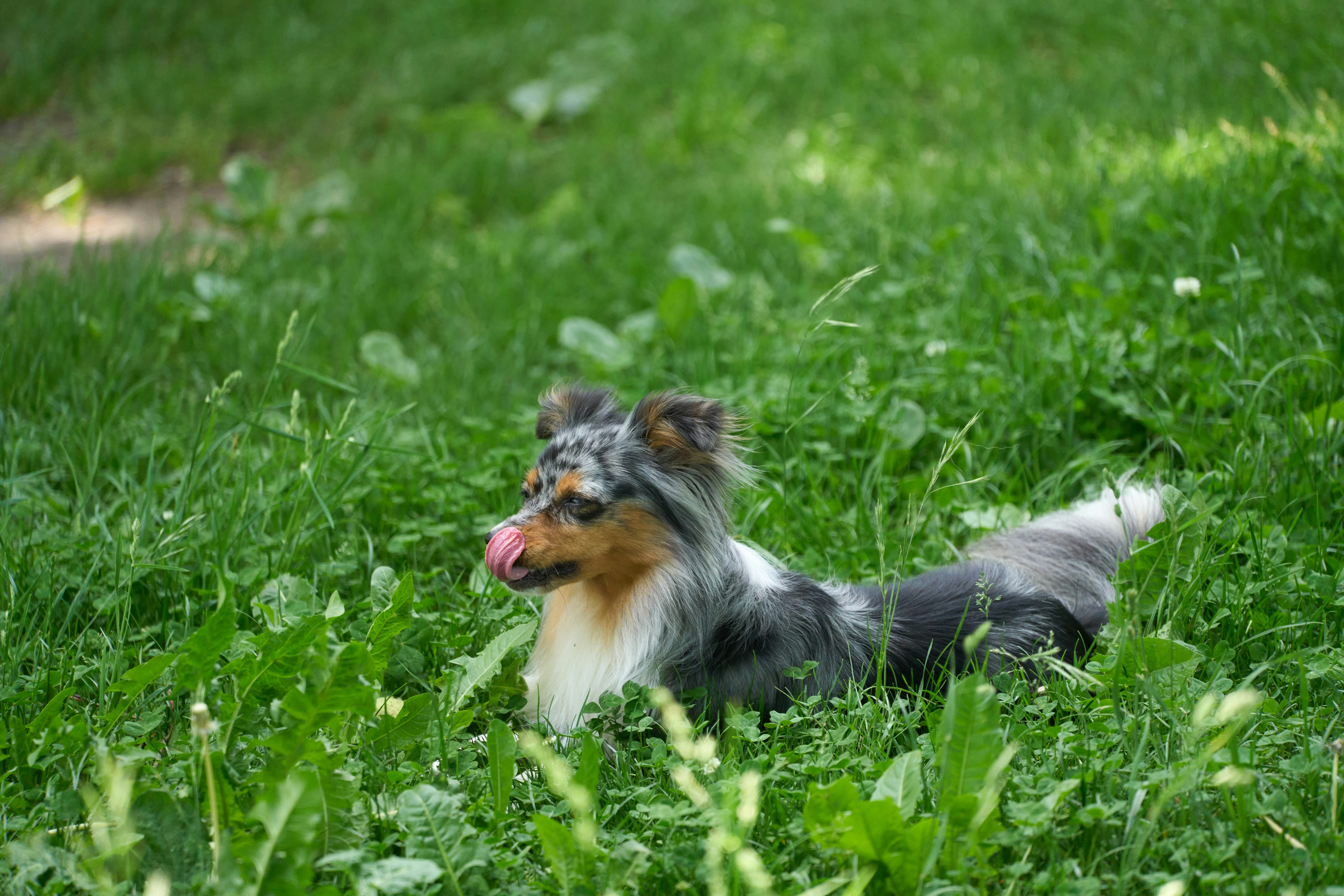 Photo by wolfgang_hasselmann