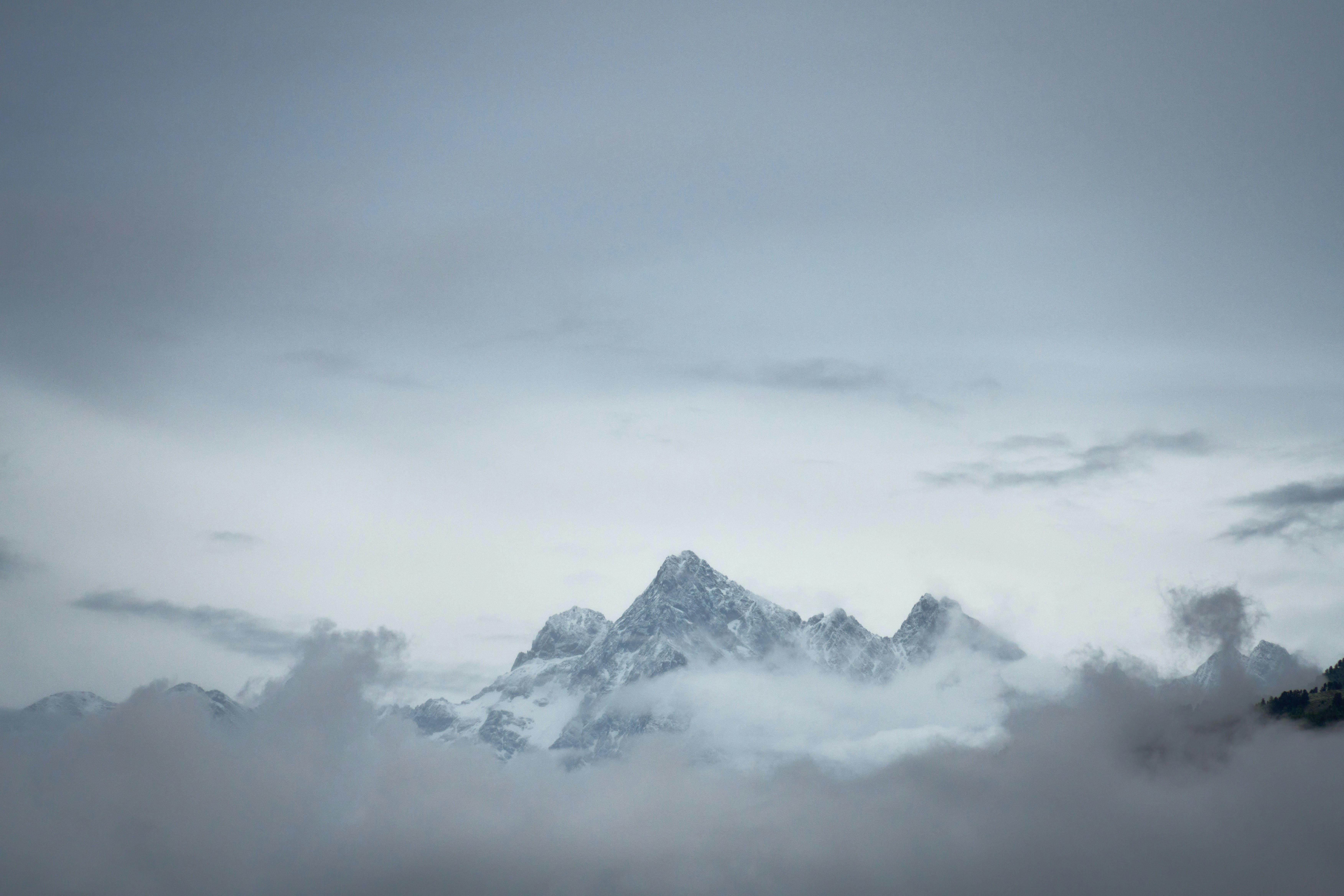 Photo by wolfgang_hasselmann