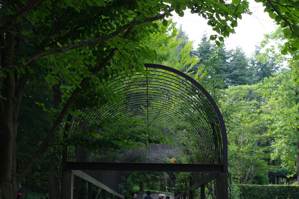 The image depicts a serene park scene with an archway constructed from metal, featuring a lattice design and surrounded by lush green trees. The archway is situated on a wooden platform, providing a contrast between natural and man-made elements. Several people can be seen walking around the park, adding life to the tranquil setting.