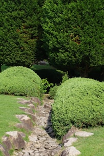 A small stream running through a lush green park