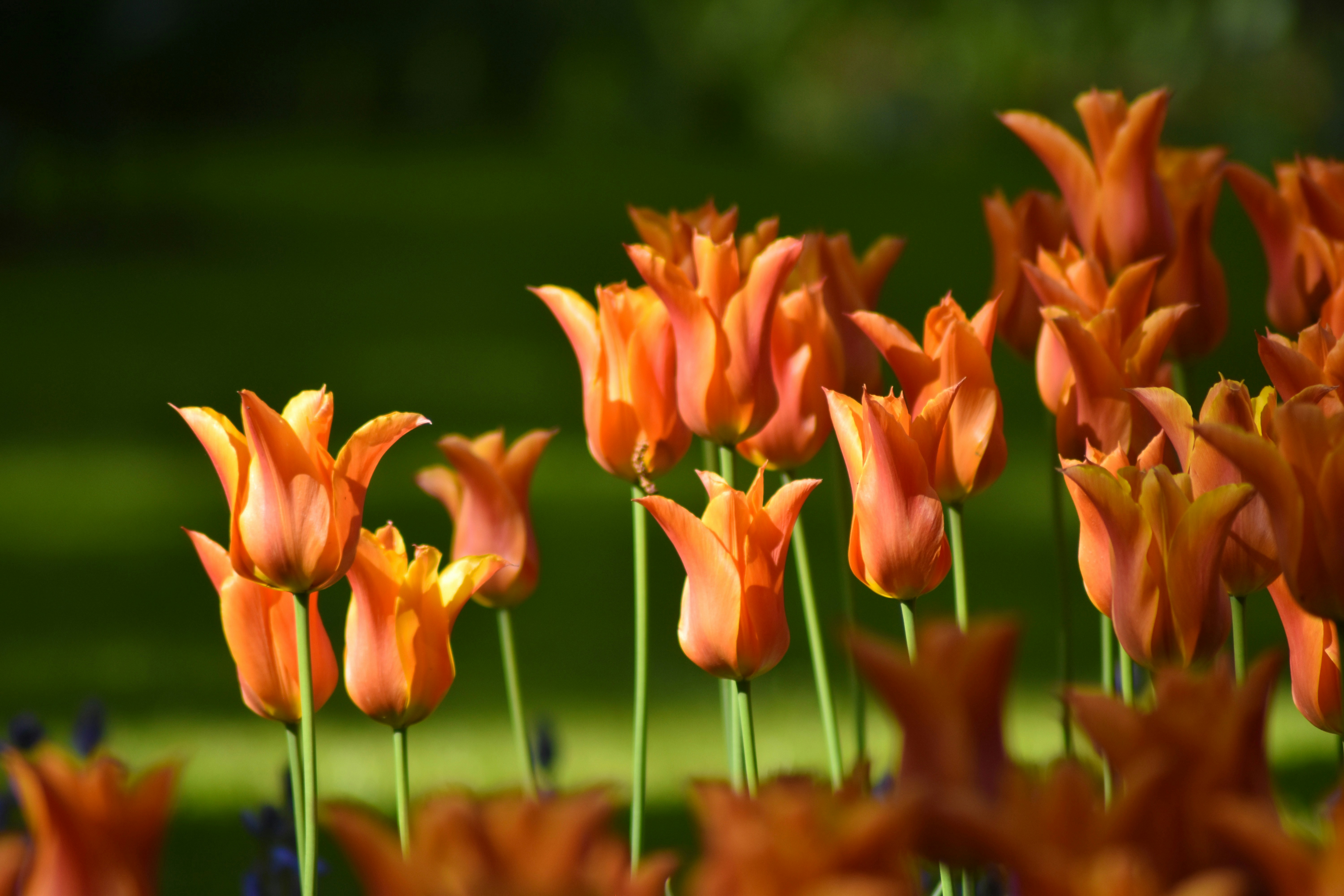 Photo by studionoordhoek