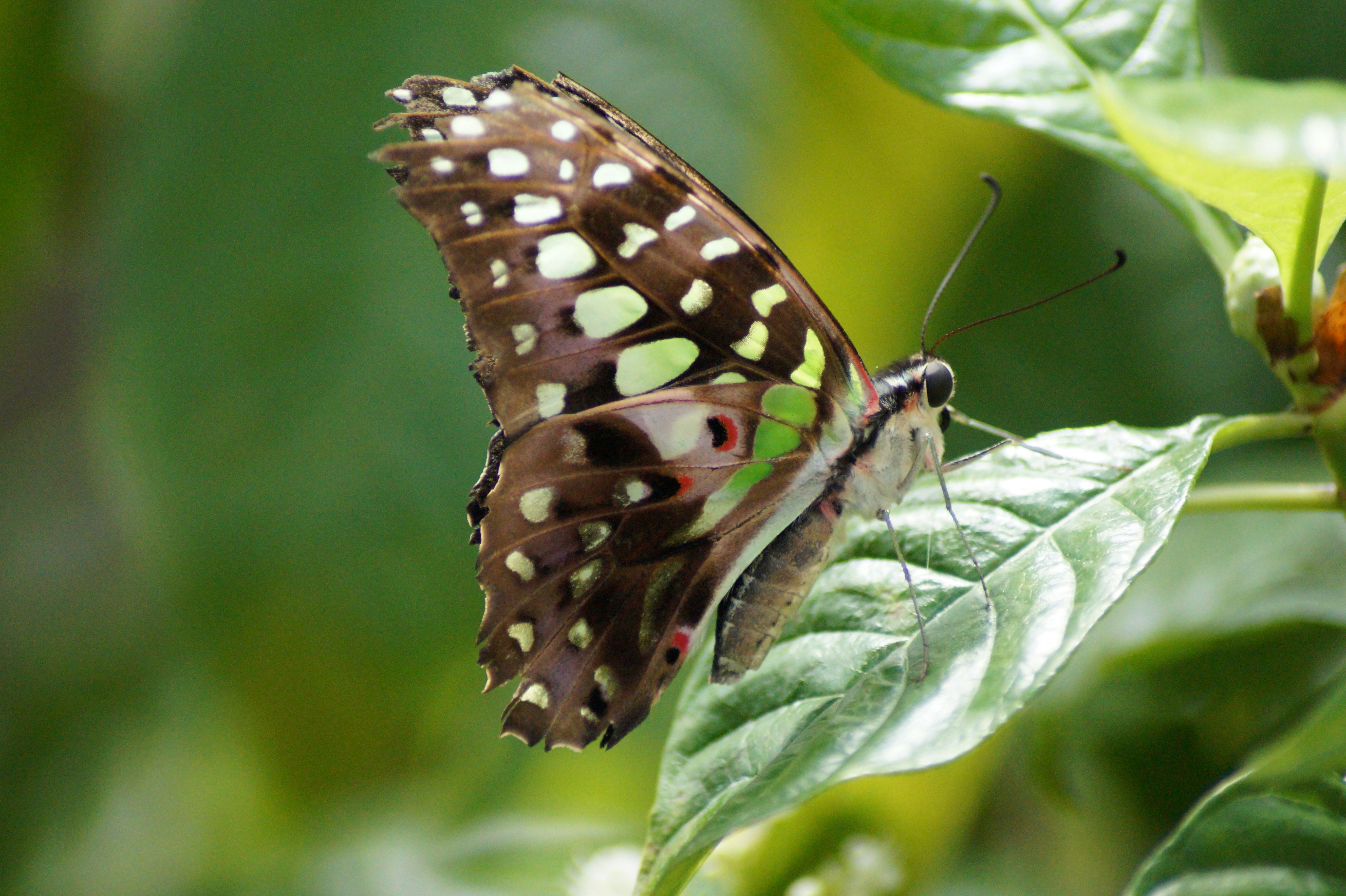 Photo by studionoordhoek