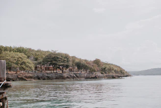 A man sitting on a dock next to a body of water