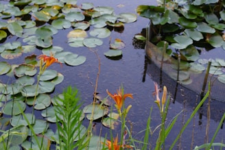 A small boat floating on top of a lake filled with lily pads