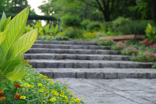 A garden filled with lots of green plants and flowers