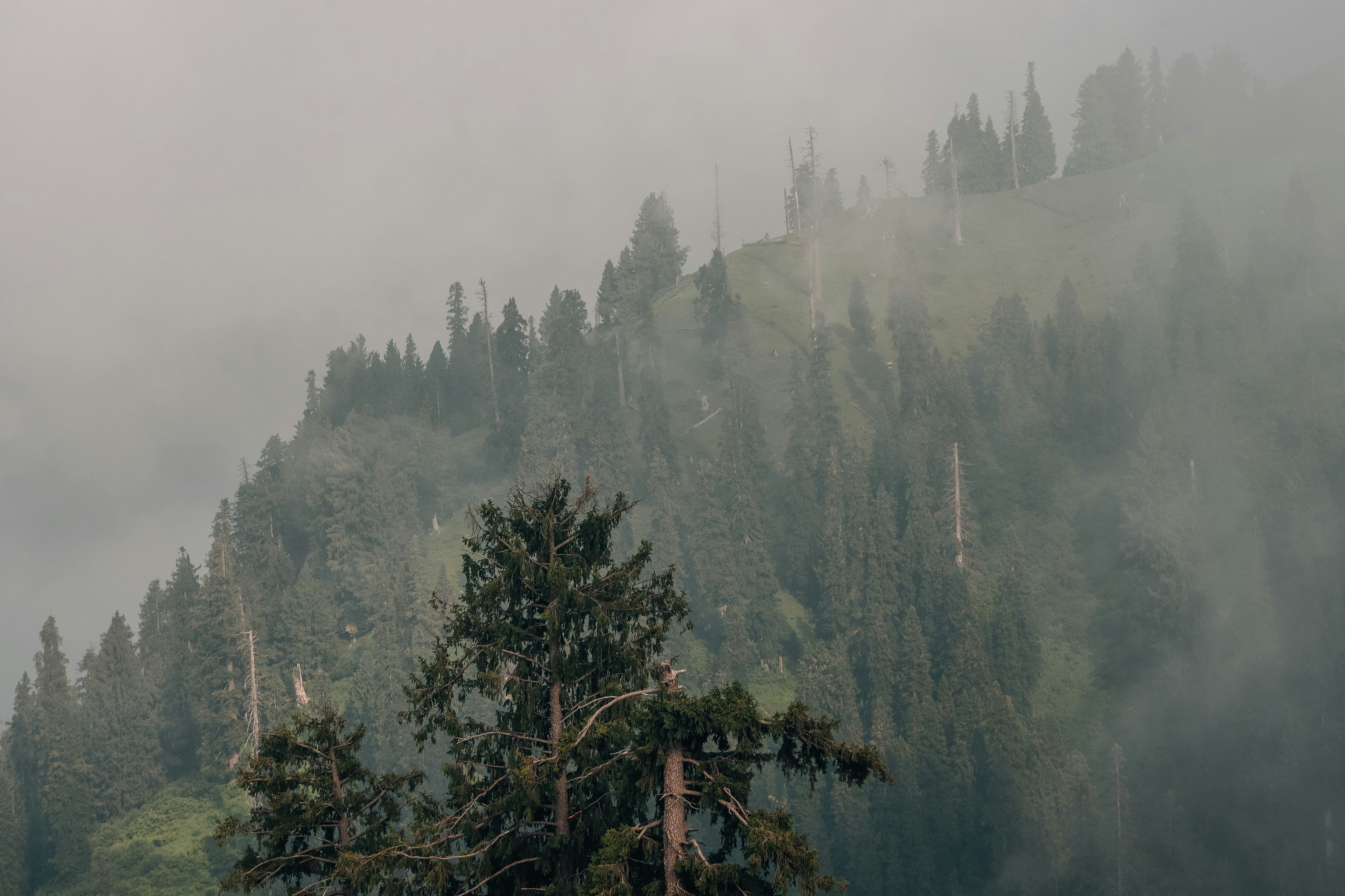 Photo by drphotographer152