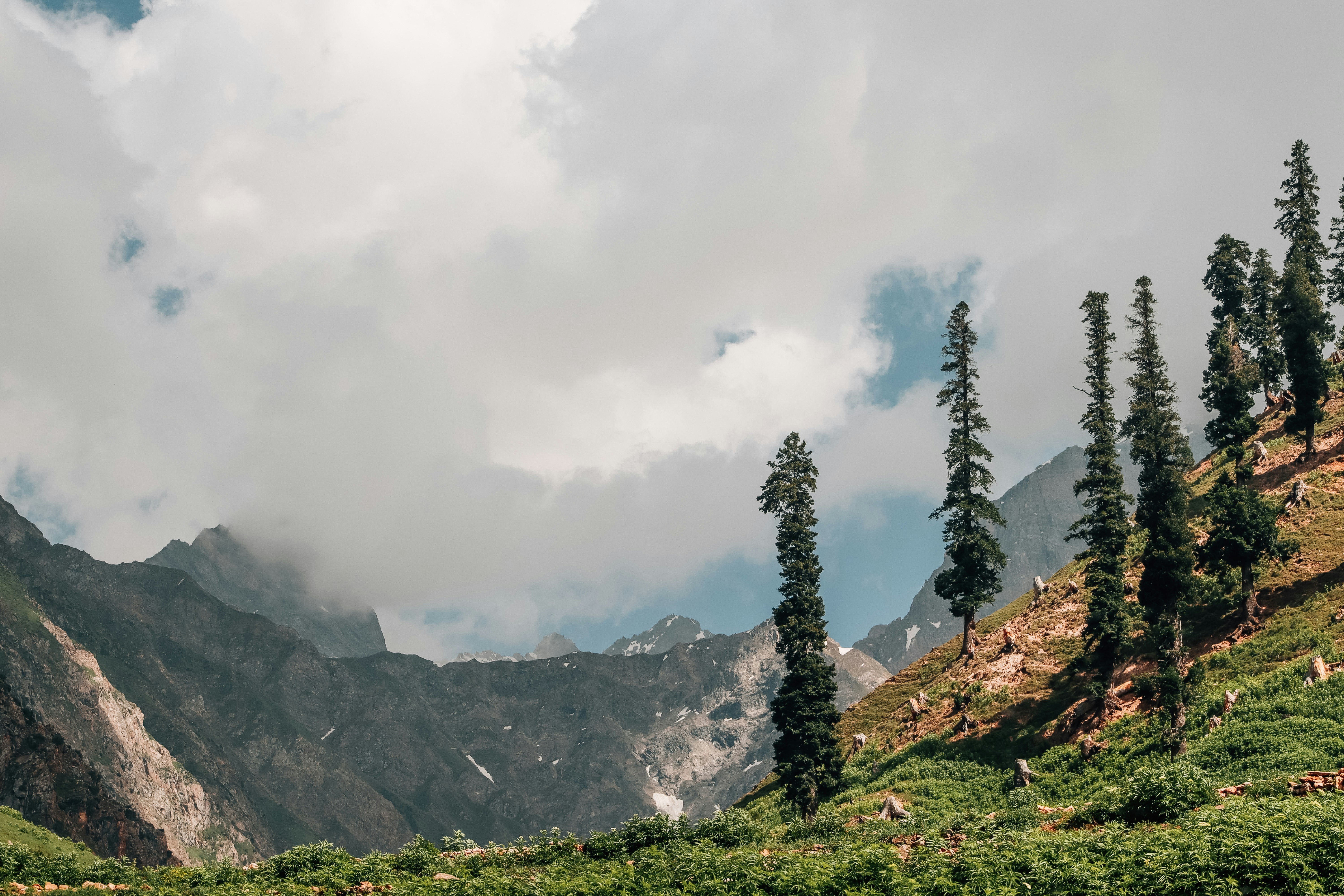 Photo by drphotographer152