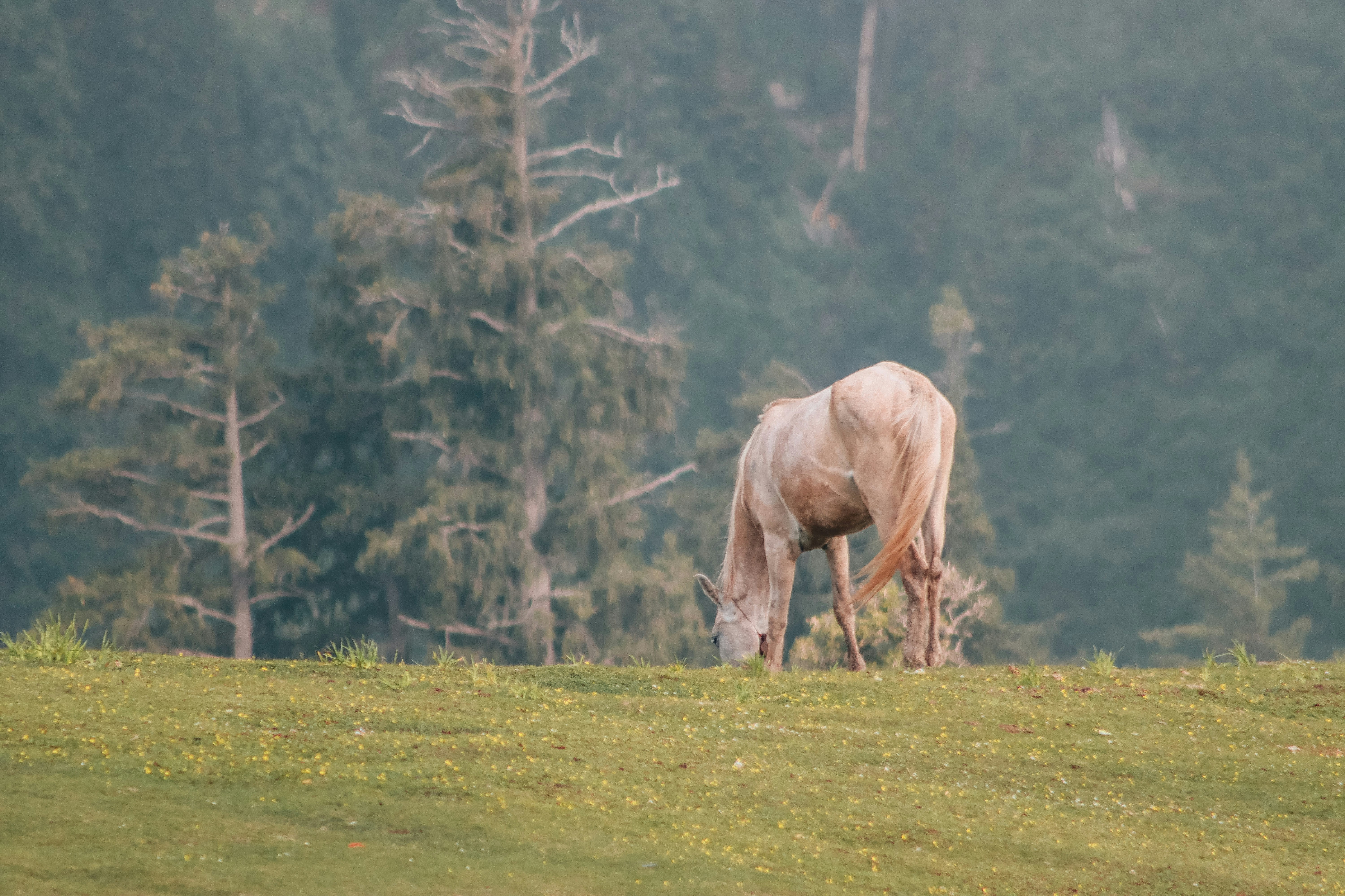 Photo by drphotographer152