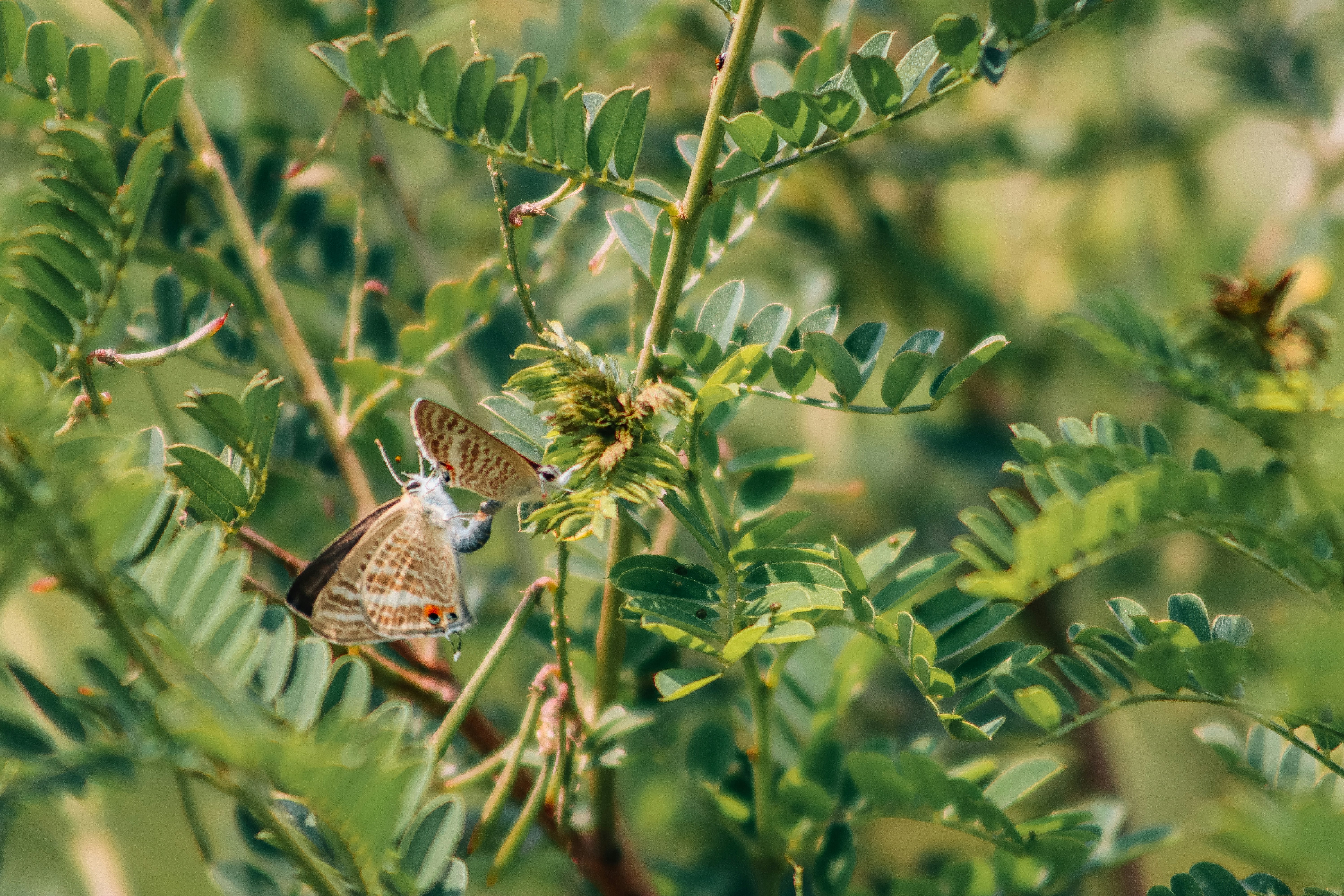 Photo by drphotographer152