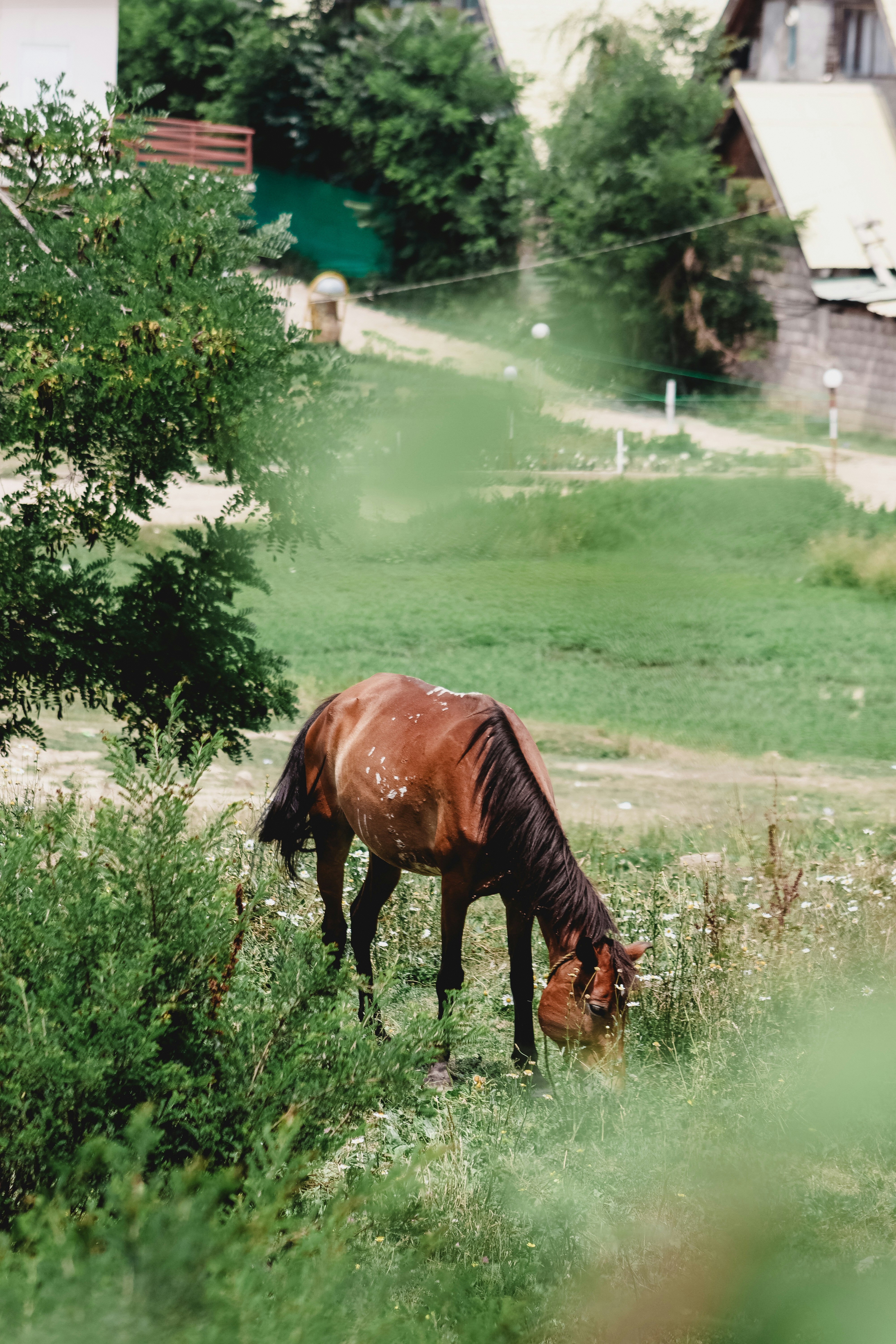 Photo by drphotographer152