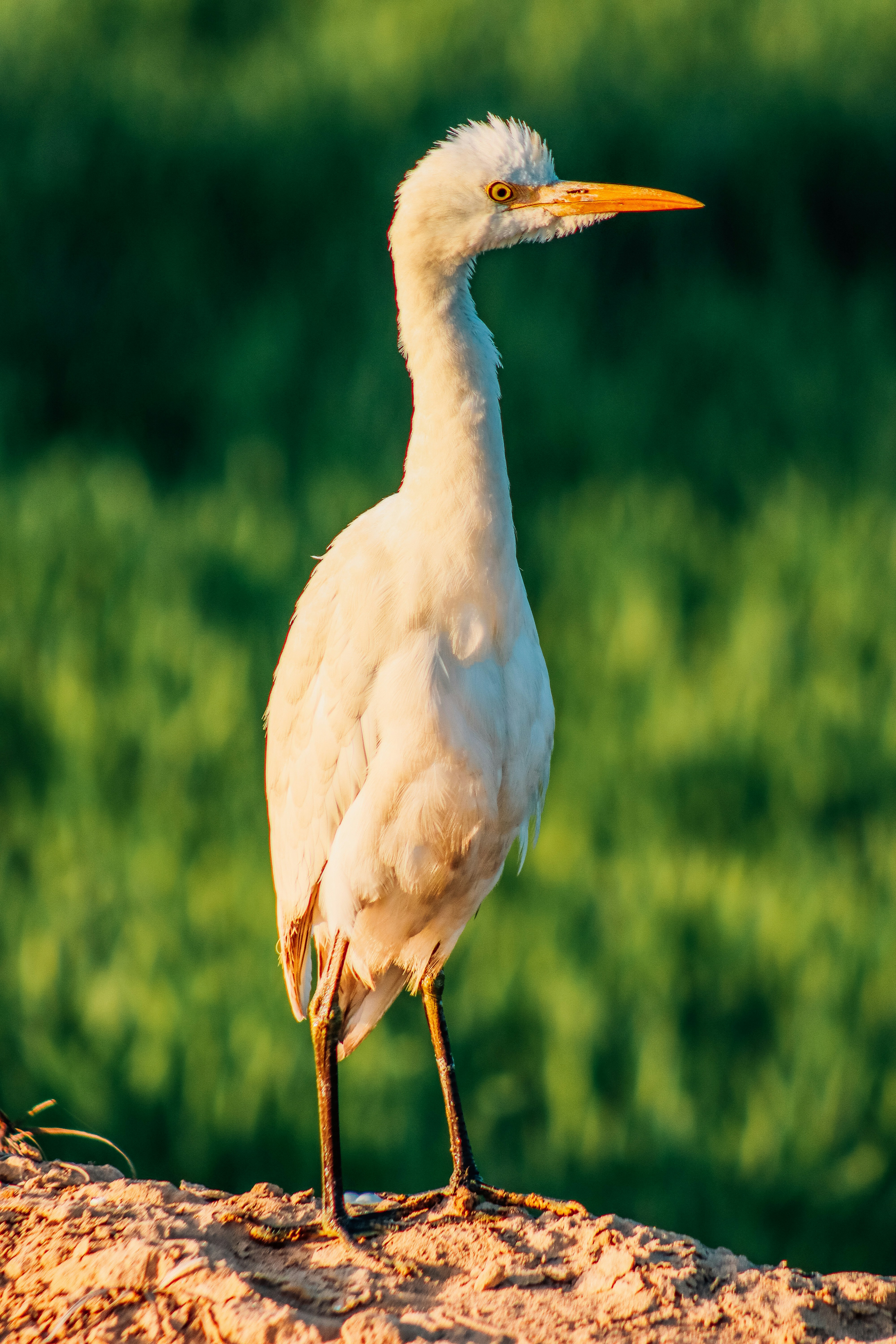 Photo by drphotographer152