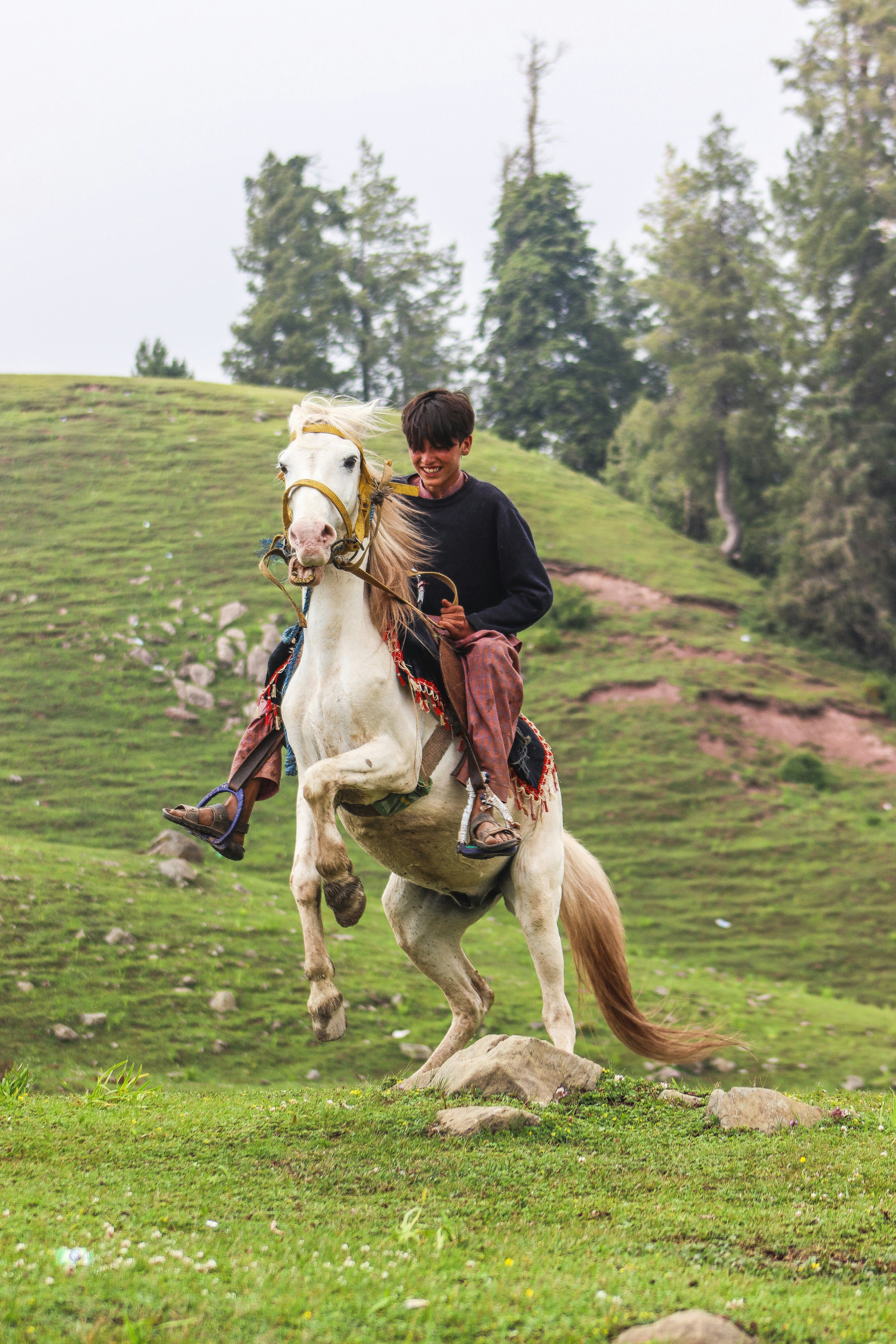 A man riding on the back of a white horse photo – Free Image on Unsplash